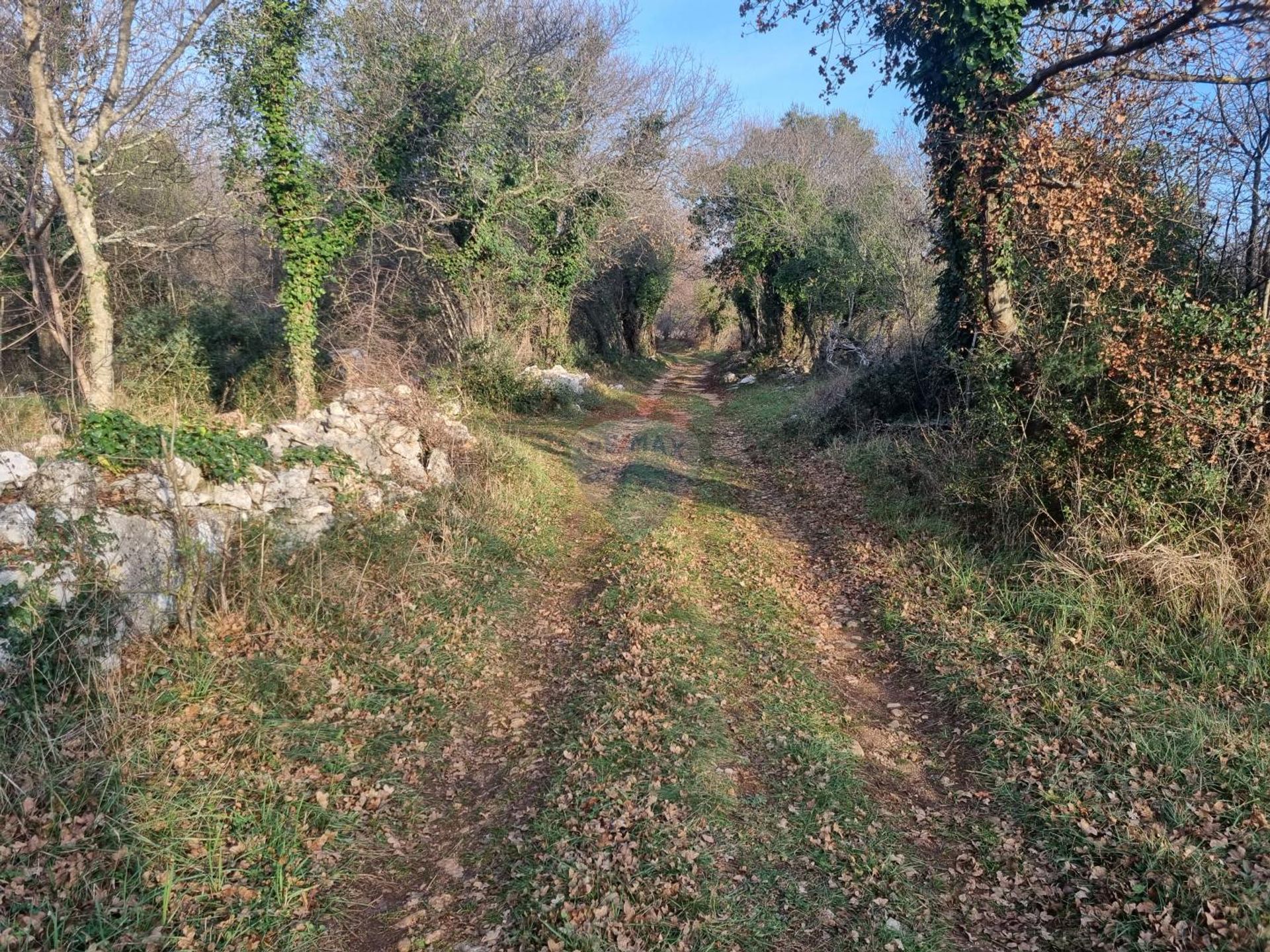 Tierra en Marcana, Istarska Županija 12510128