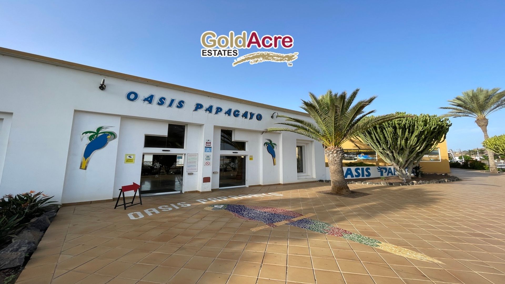 Hus i Corralejo, Canarias 12510579