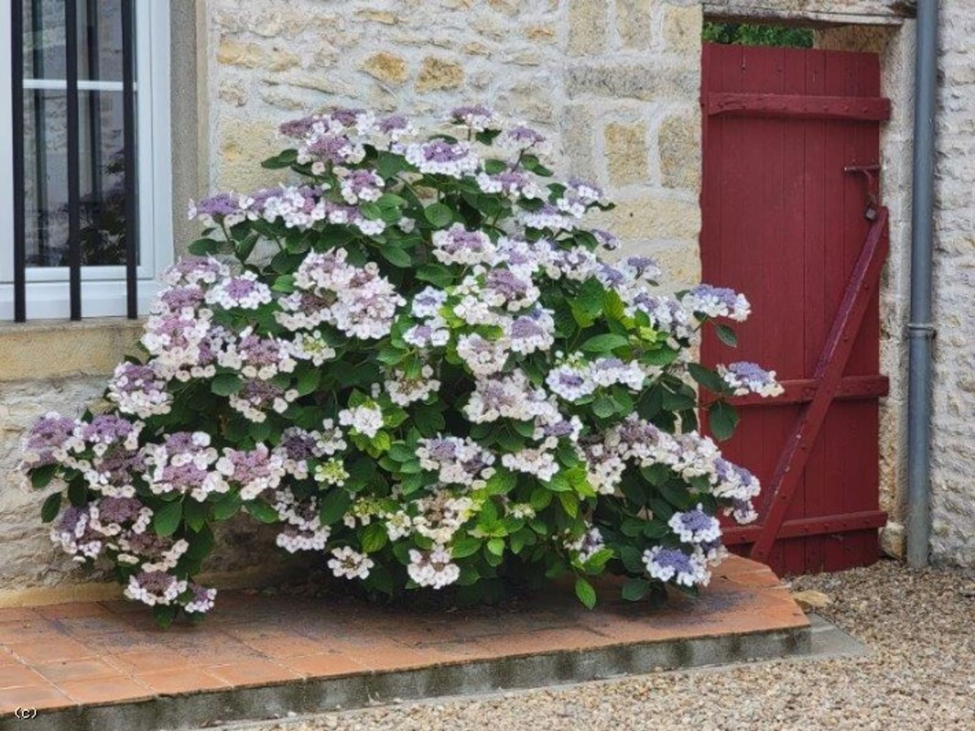 casa en Nanteuil-en-Vallée, Nouvelle-Aquitaine 12511847