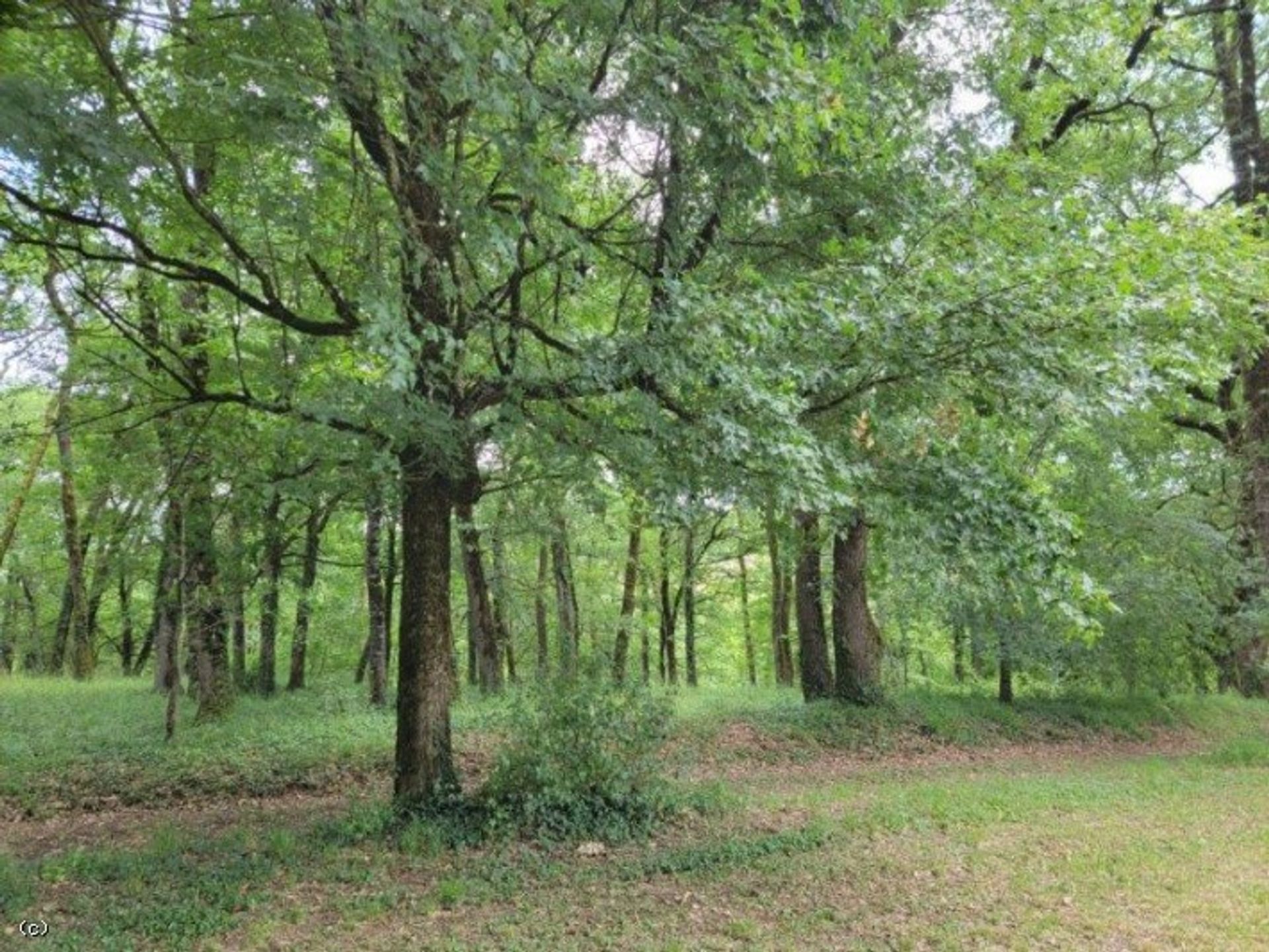 casa en Nanteuil-en-Vallée, Nouvelle-Aquitaine 12511847