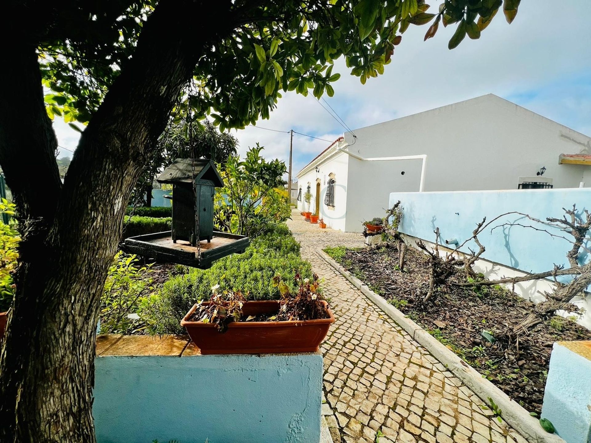 Huis in São Brás de Alportel, Faro District 12514458