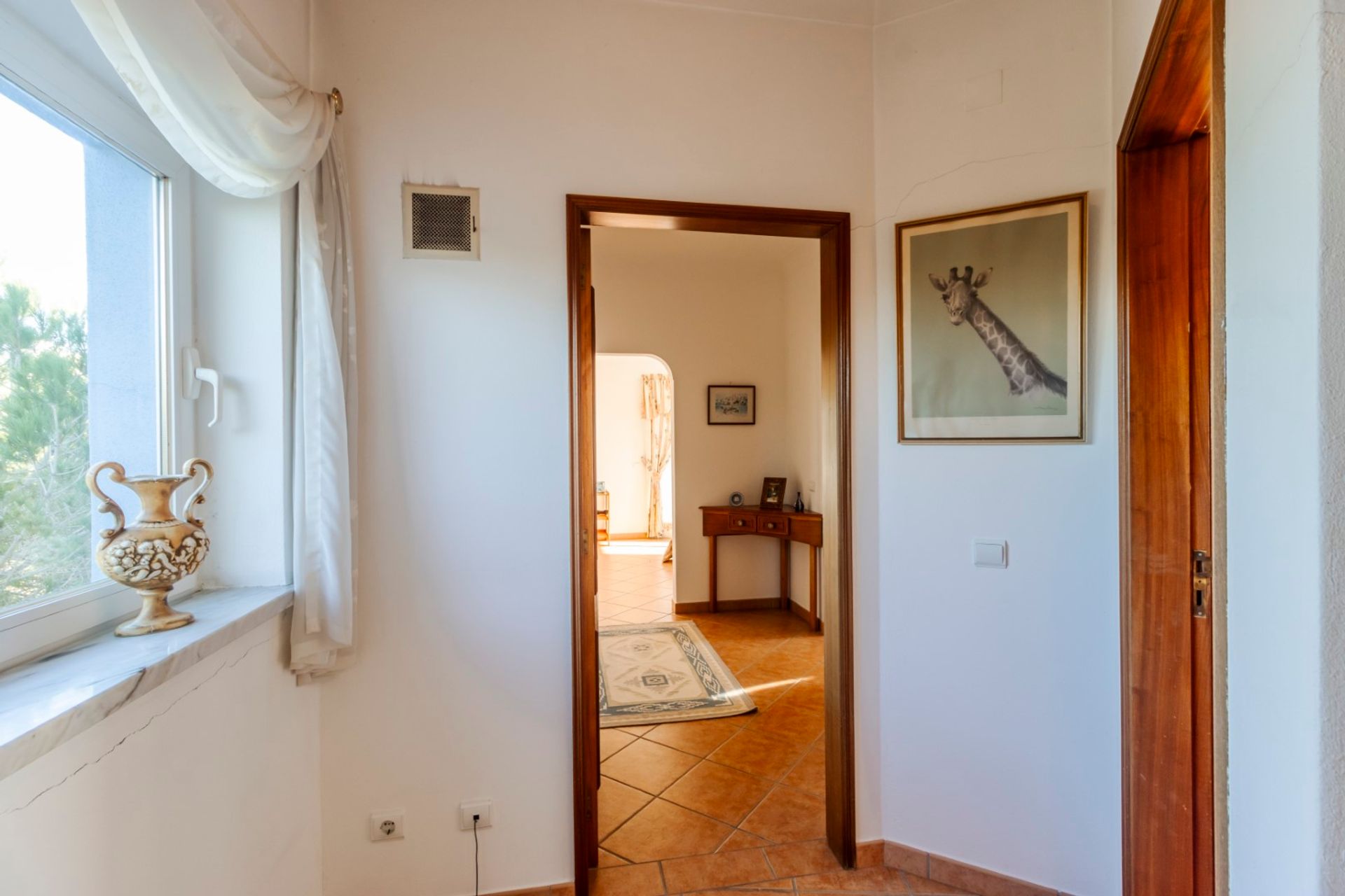 Haus im Raposeira, Faro District 12516356