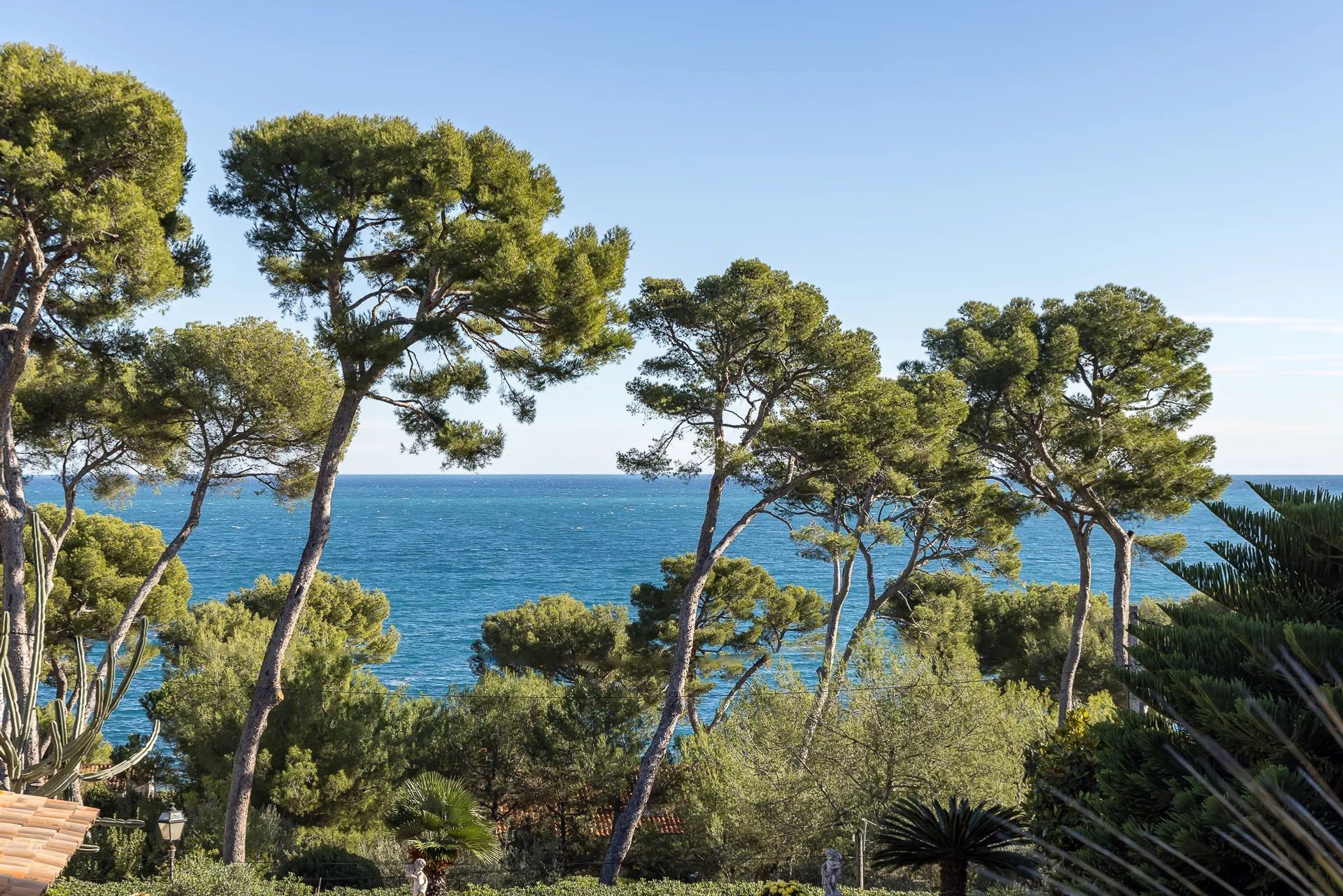 मकान में Antibes, Provence-Alpes-Côte d'Azur 12516372