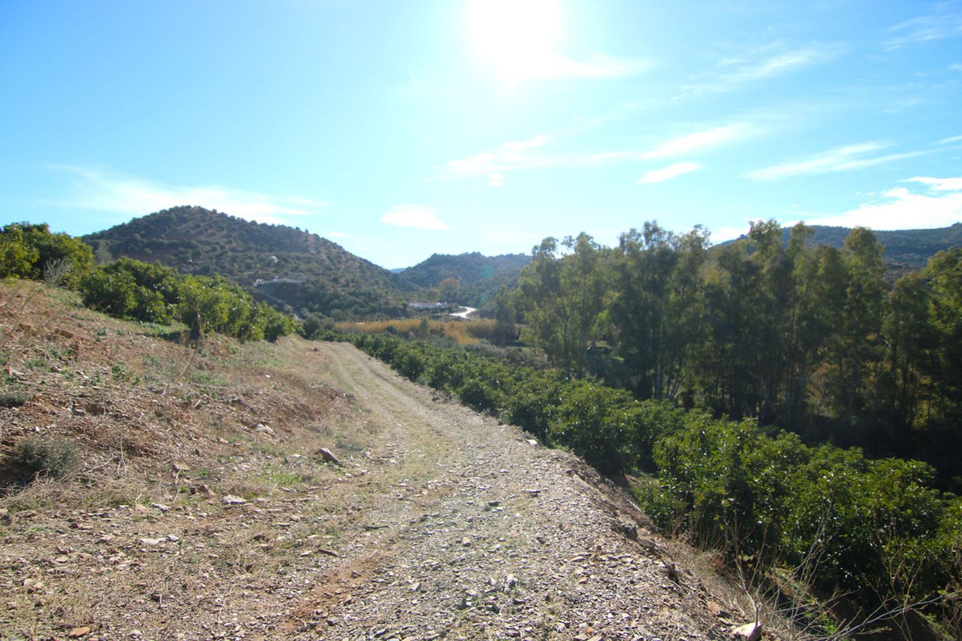 土地 在 Coín, Andalusia 12516797