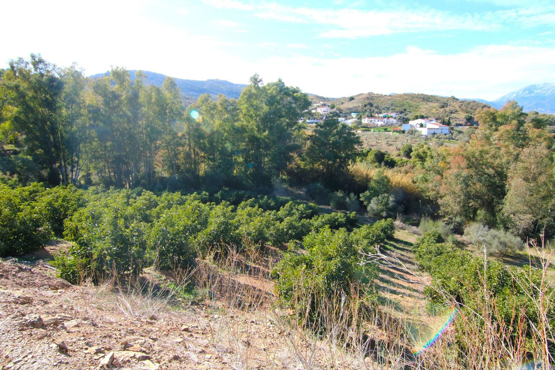 土地 在 Coín, Andalusia 12516797