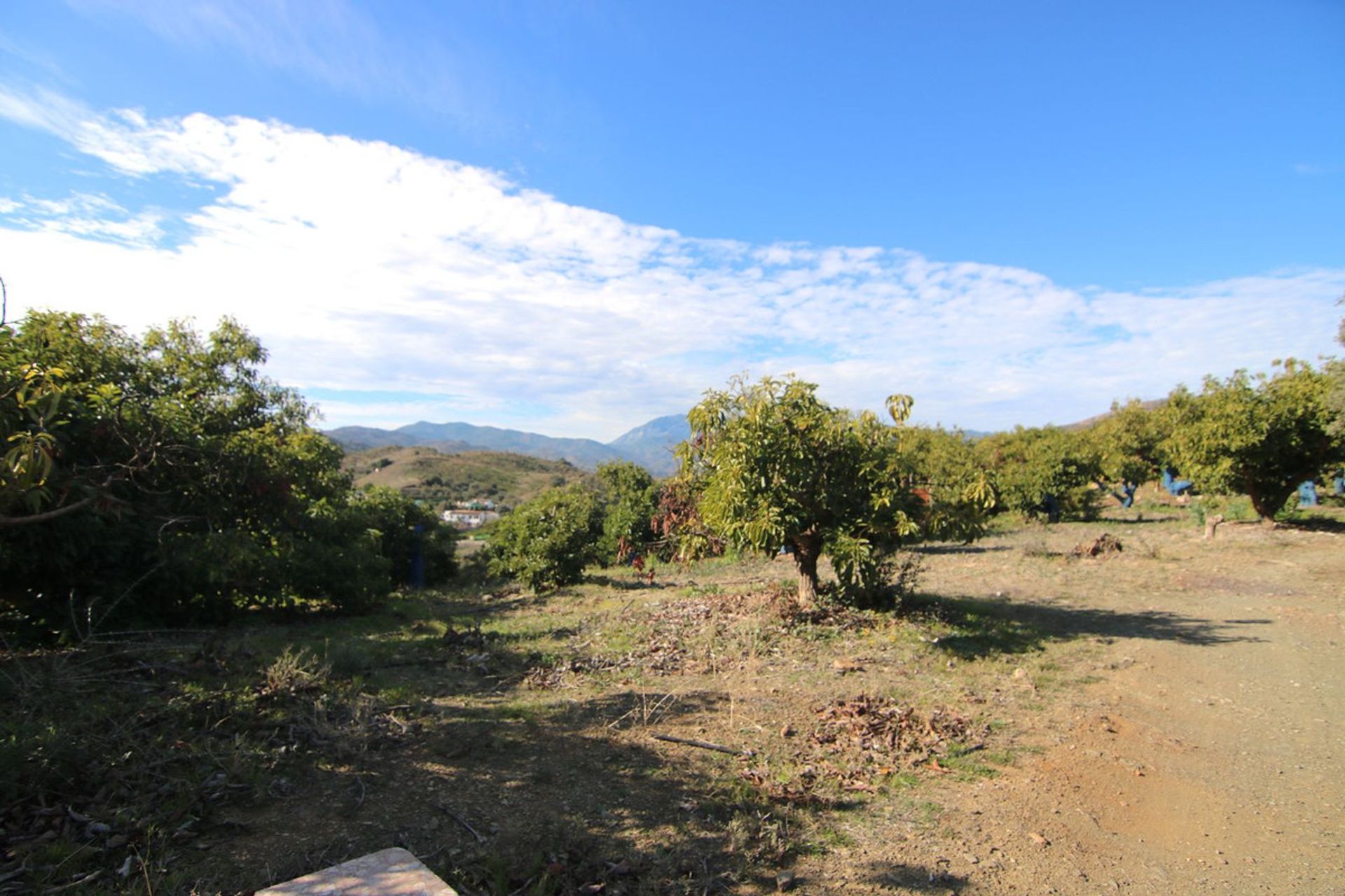 土地 在 Coín, Andalusia 12516797