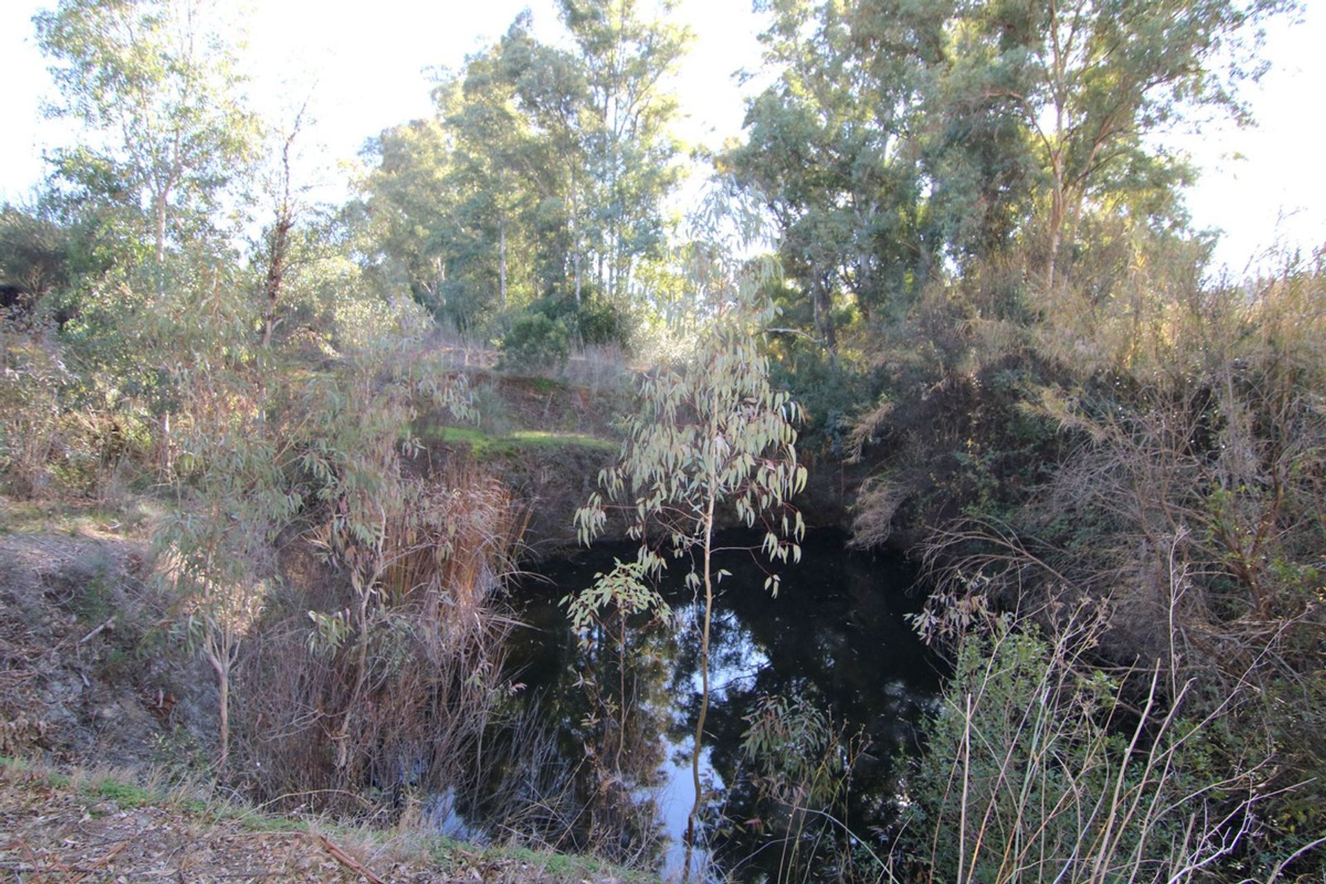 土地 在 Coín, Andalusia 12516797