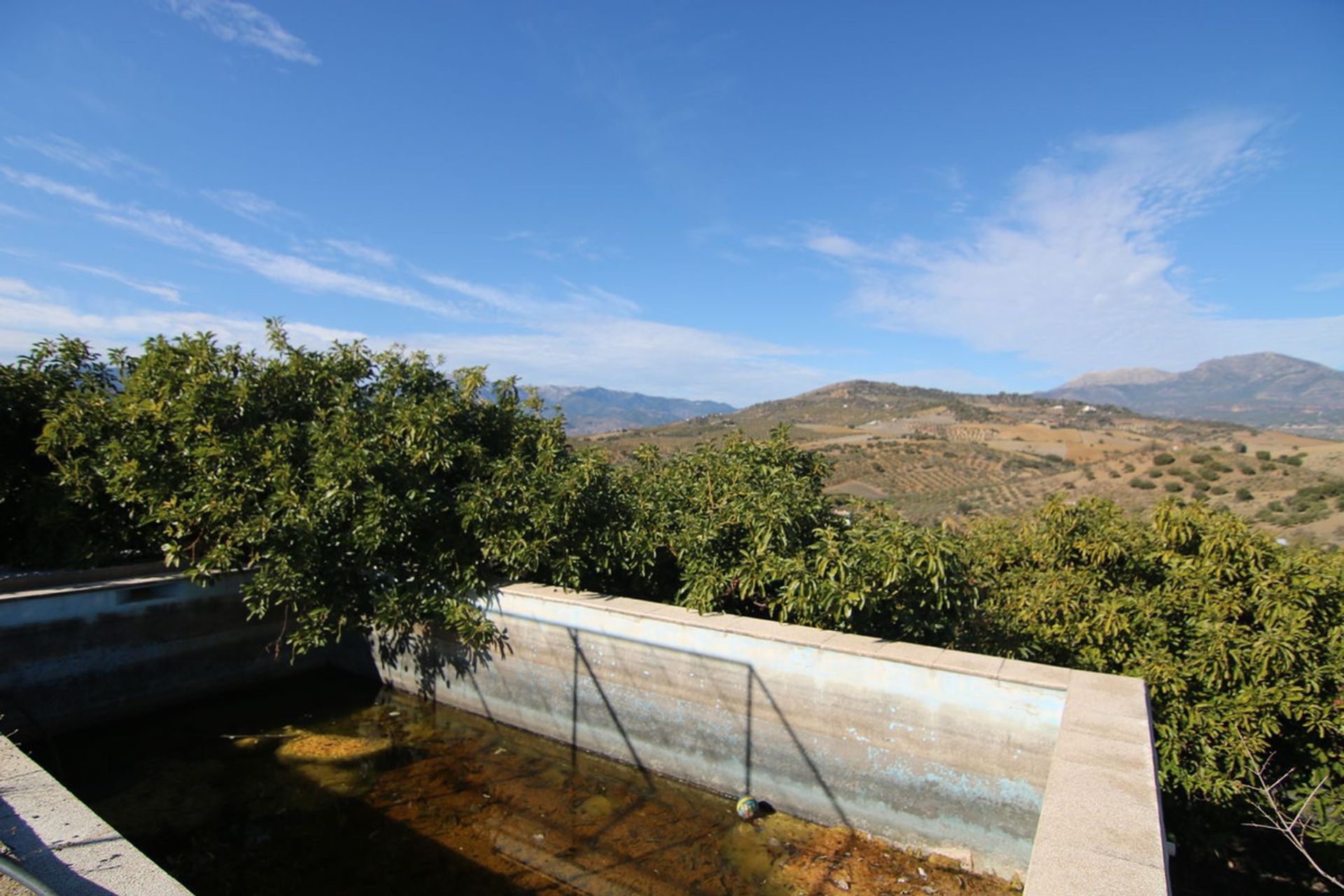 Land in Coín, Andalusia 12516832