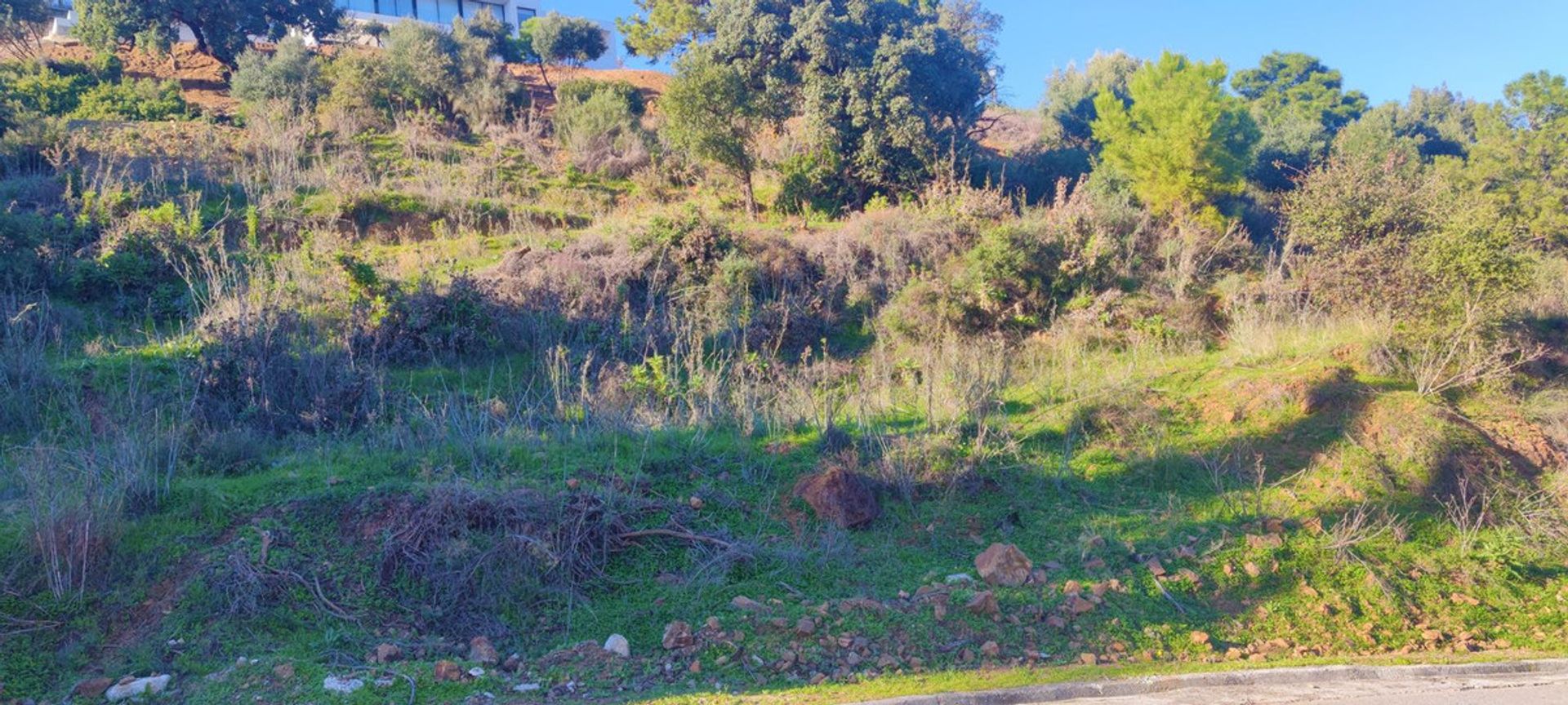 Tierra en Benahavís, Andalucía 12516917