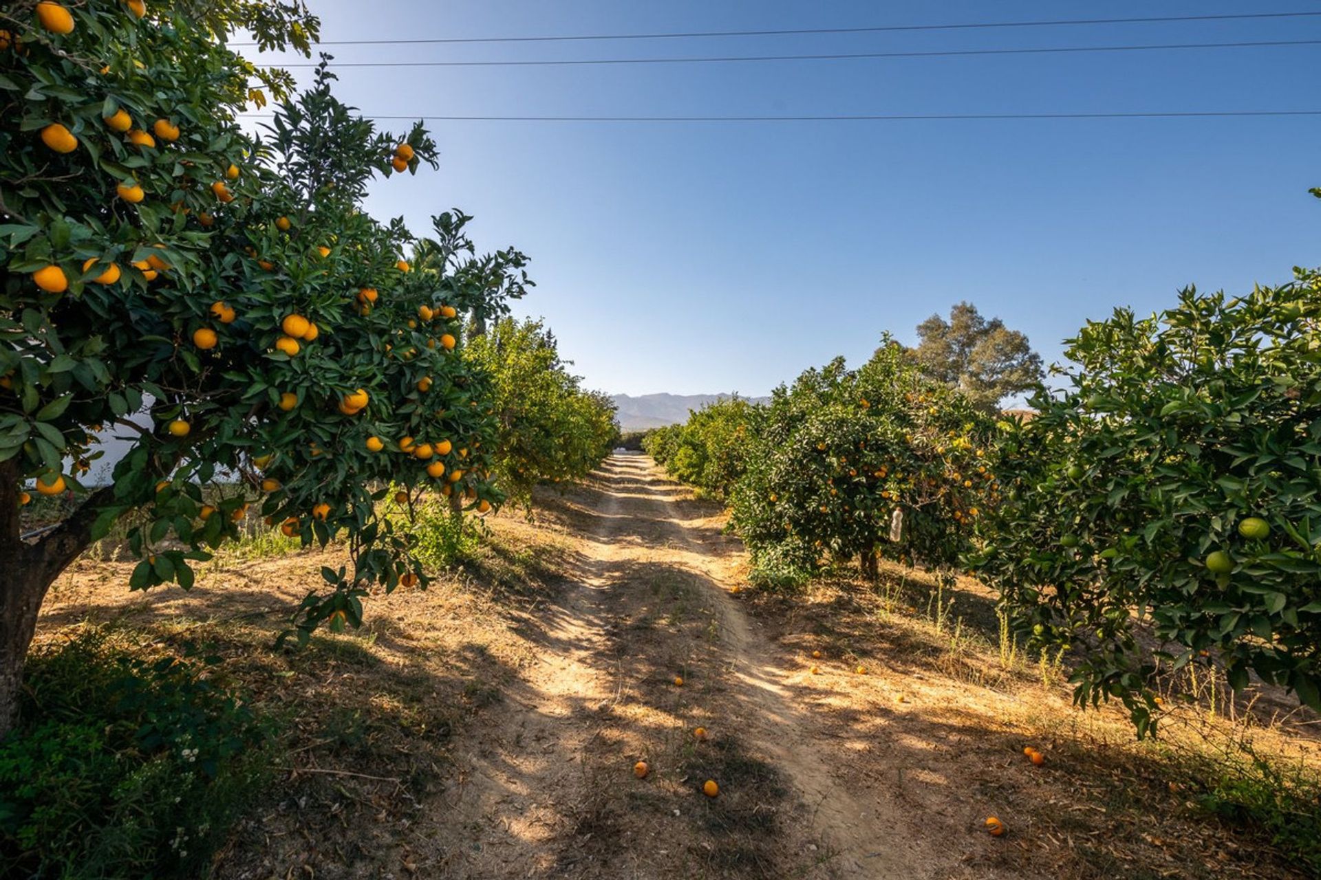 집 에 Alhaurín de la Torre, Andalusia 12517049