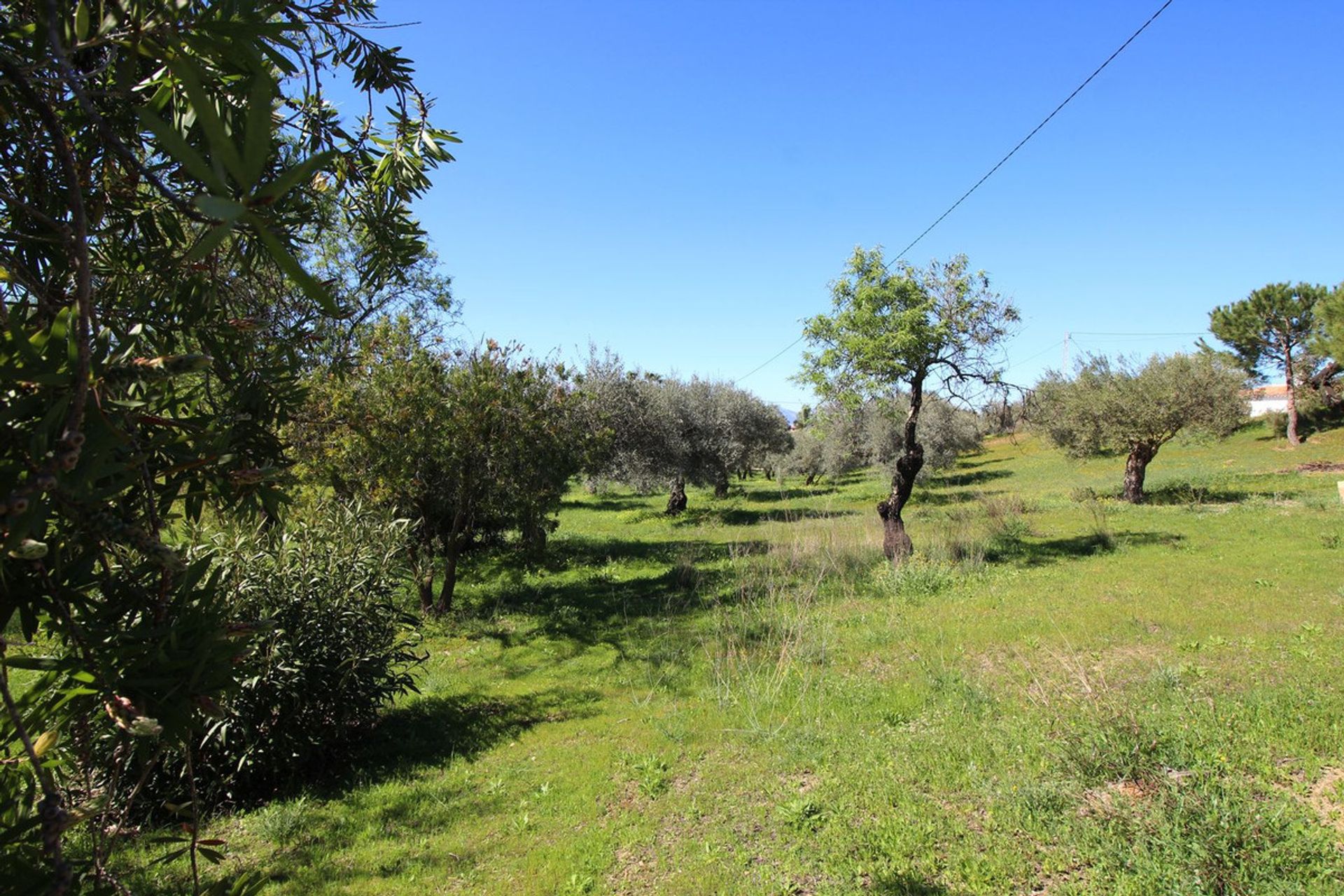 House in Coín, Andalusia 12517154