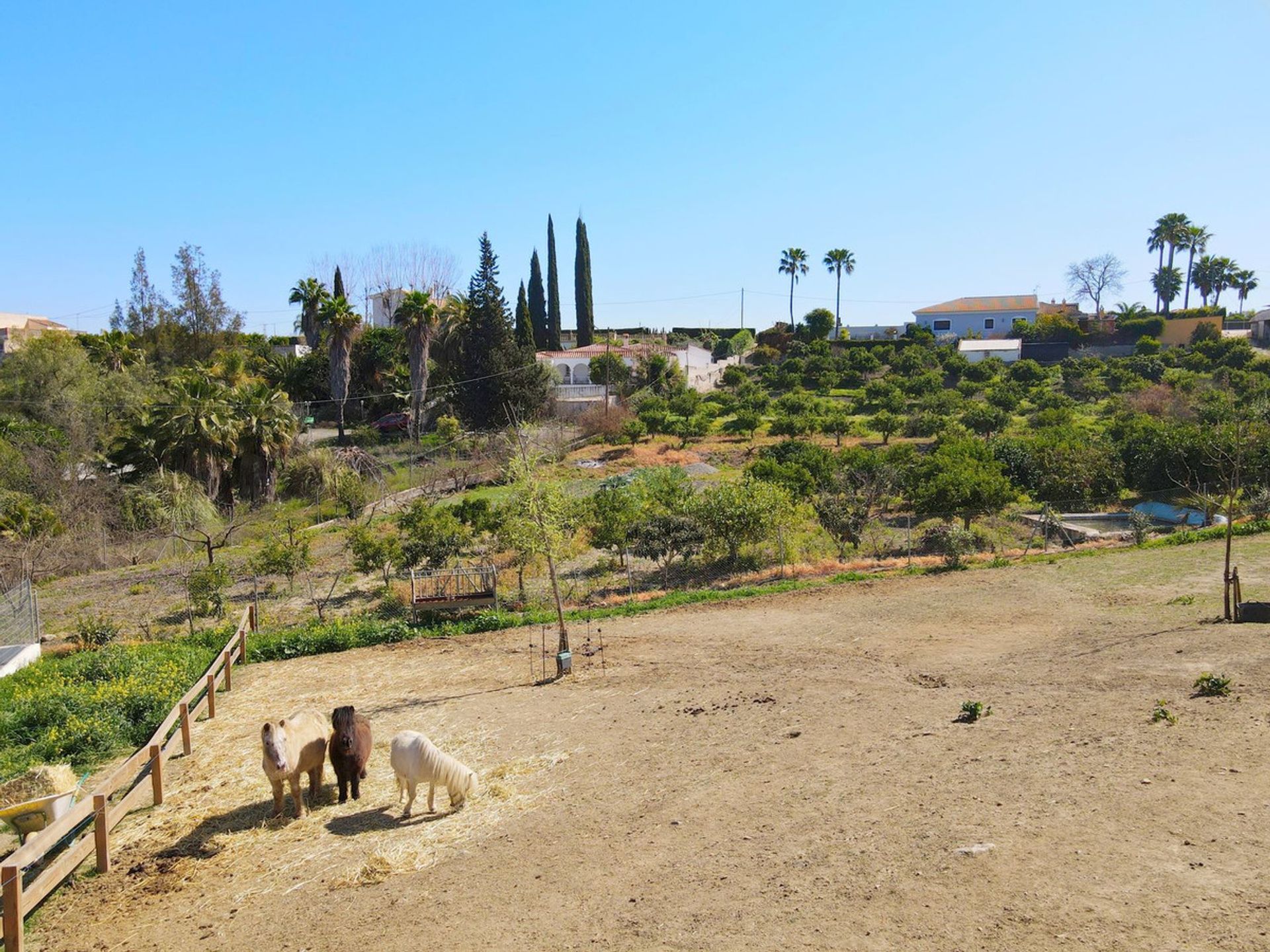 집 에 Alhaurín el Grande, Andalusia 12517156