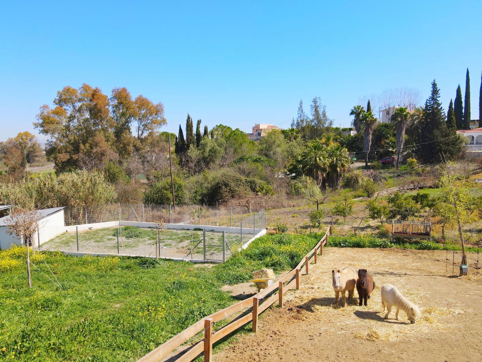 집 에 Alhaurín el Grande, Andalusia 12517156