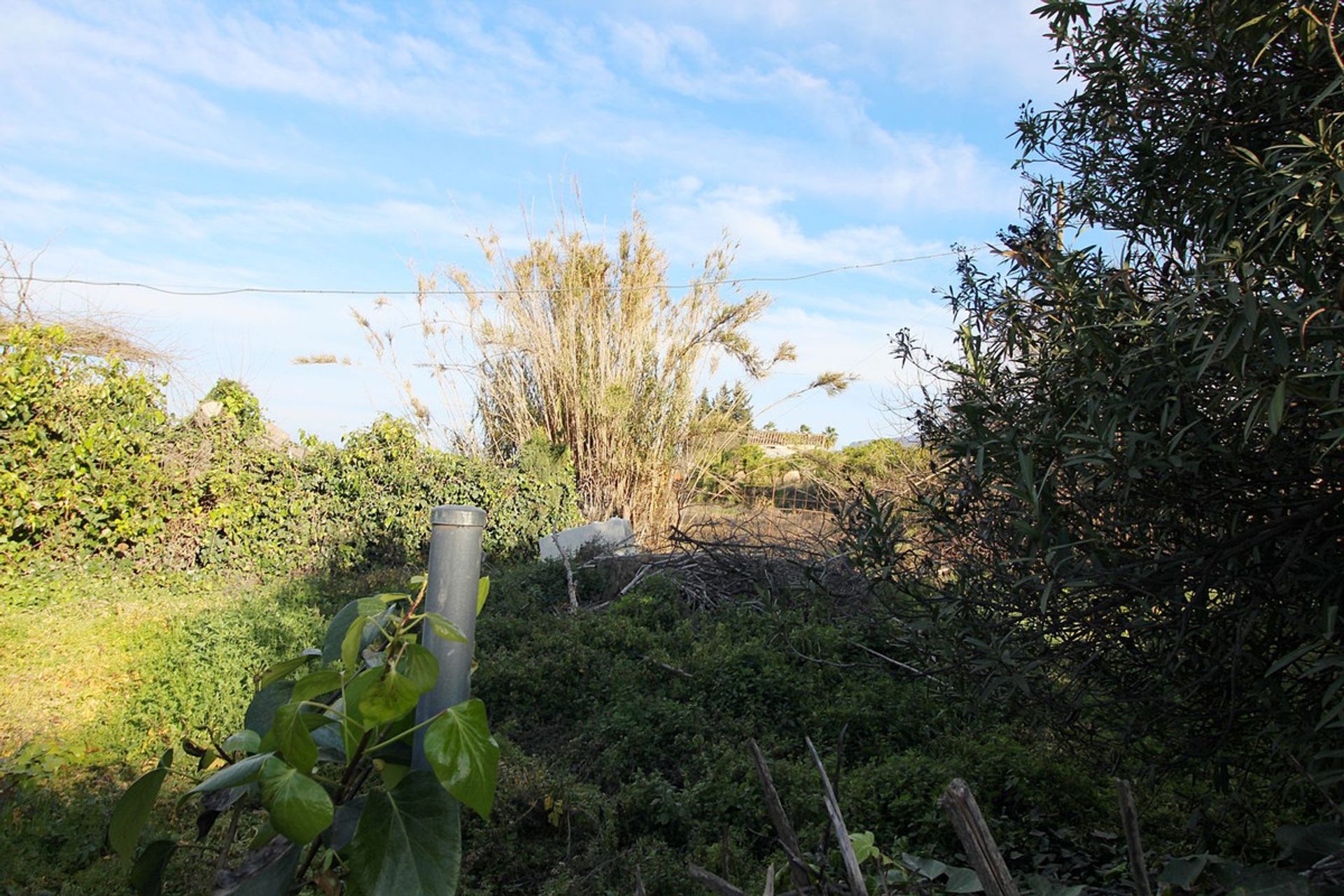 Land in Coín, Andalusia 12517157