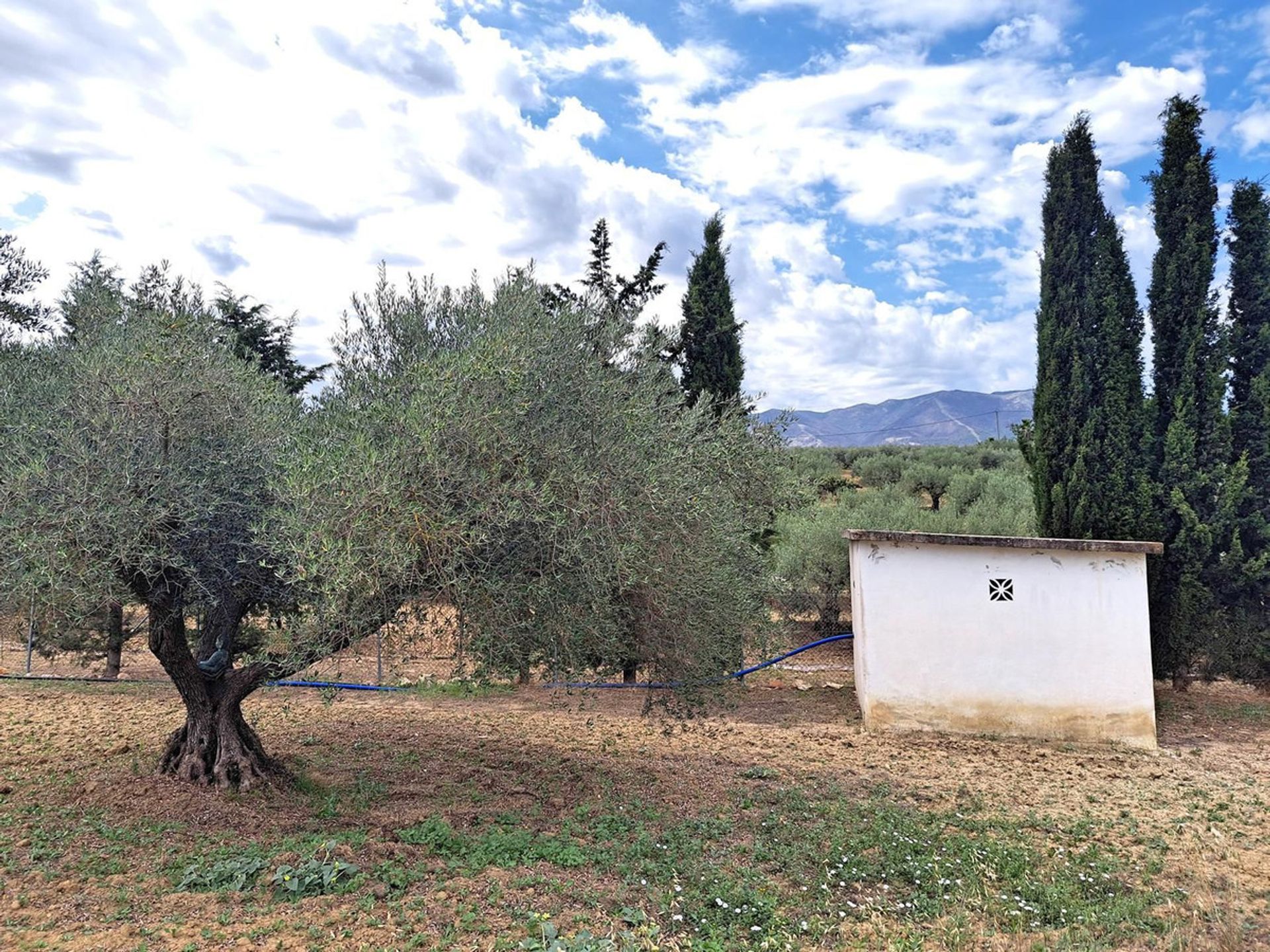 House in Alhaurín el Grande, Andalusia 12517165