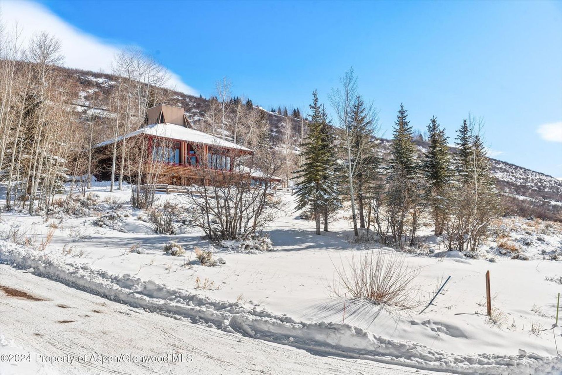 House in Aspen, Colorado 12518053