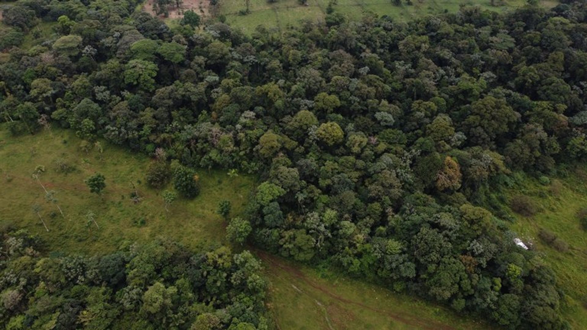 Osakehuoneisto sisään Cañas, Guanacaste 12518067