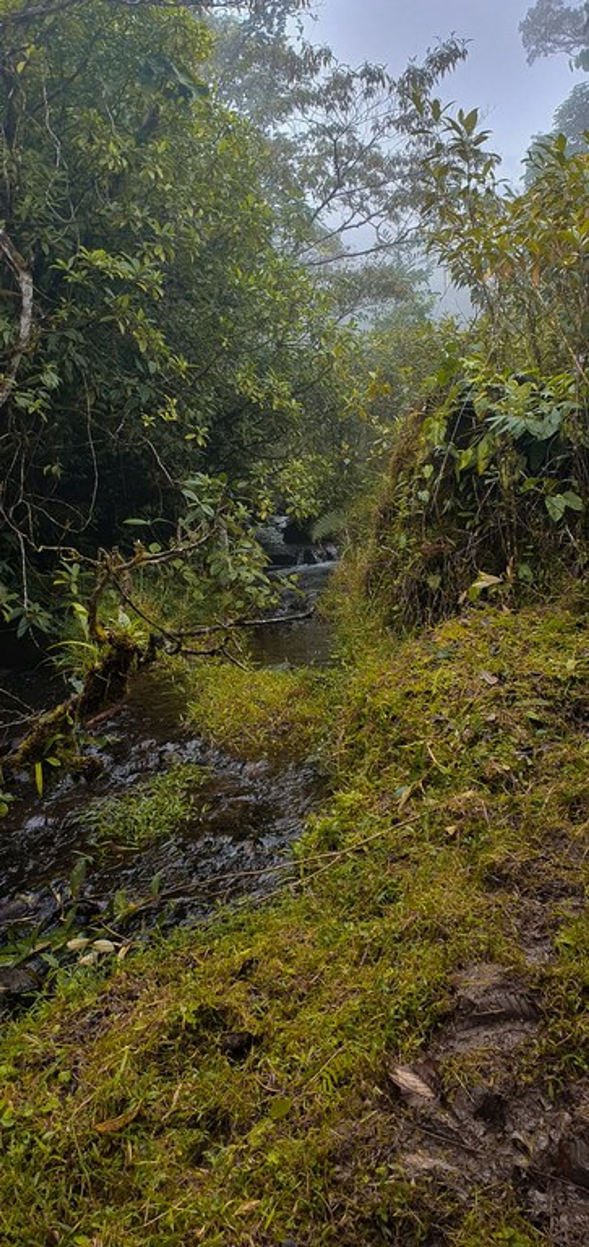 Osakehuoneisto sisään Cañas, Guanacaste 12518068