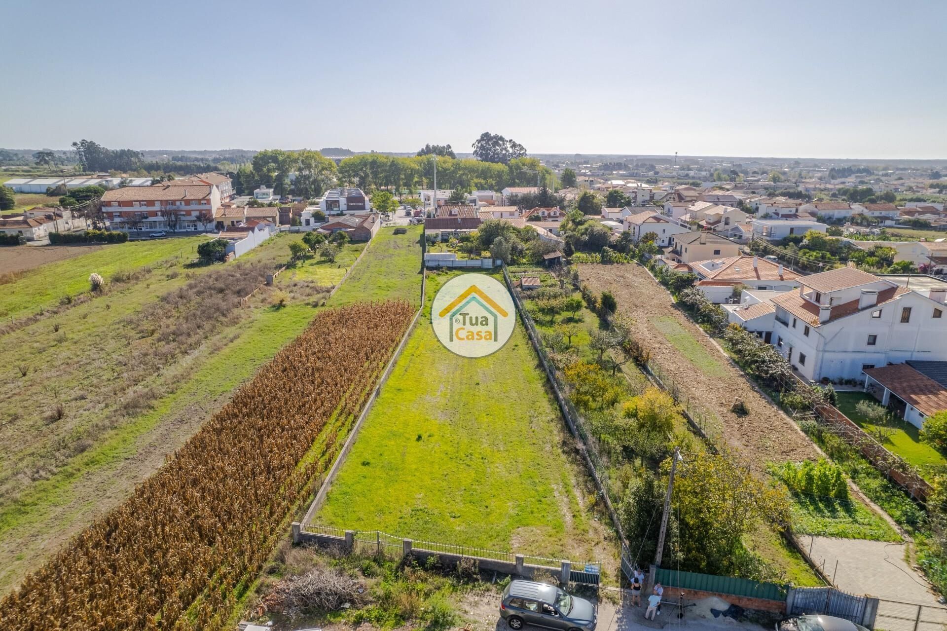 Γη σε Barro, Aveiro 12518673