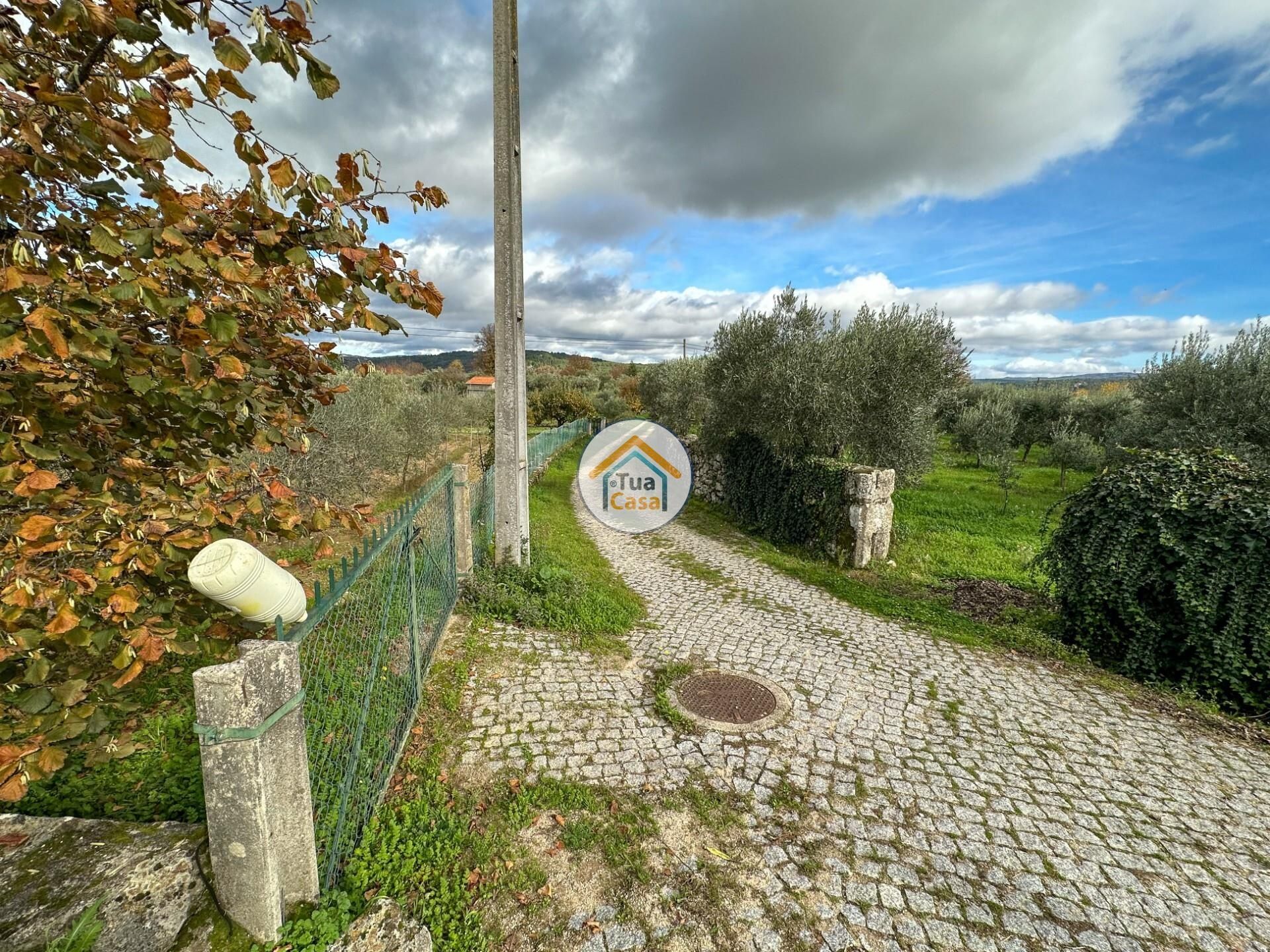 Haus im , Viseu District 12518676