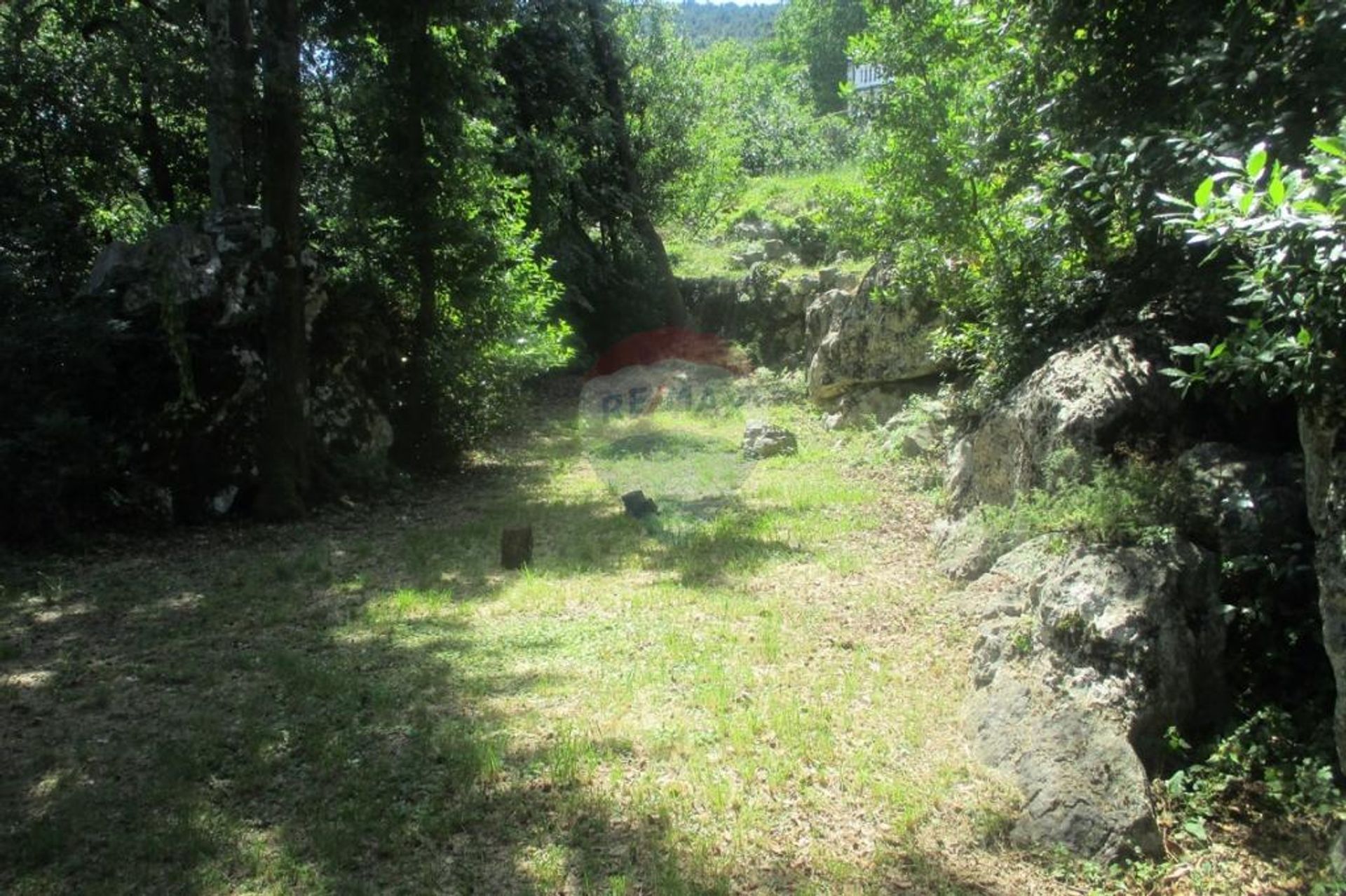 土地 在 图利塞维察, 滨海边疆区-山区祖帕尼娅 12519189