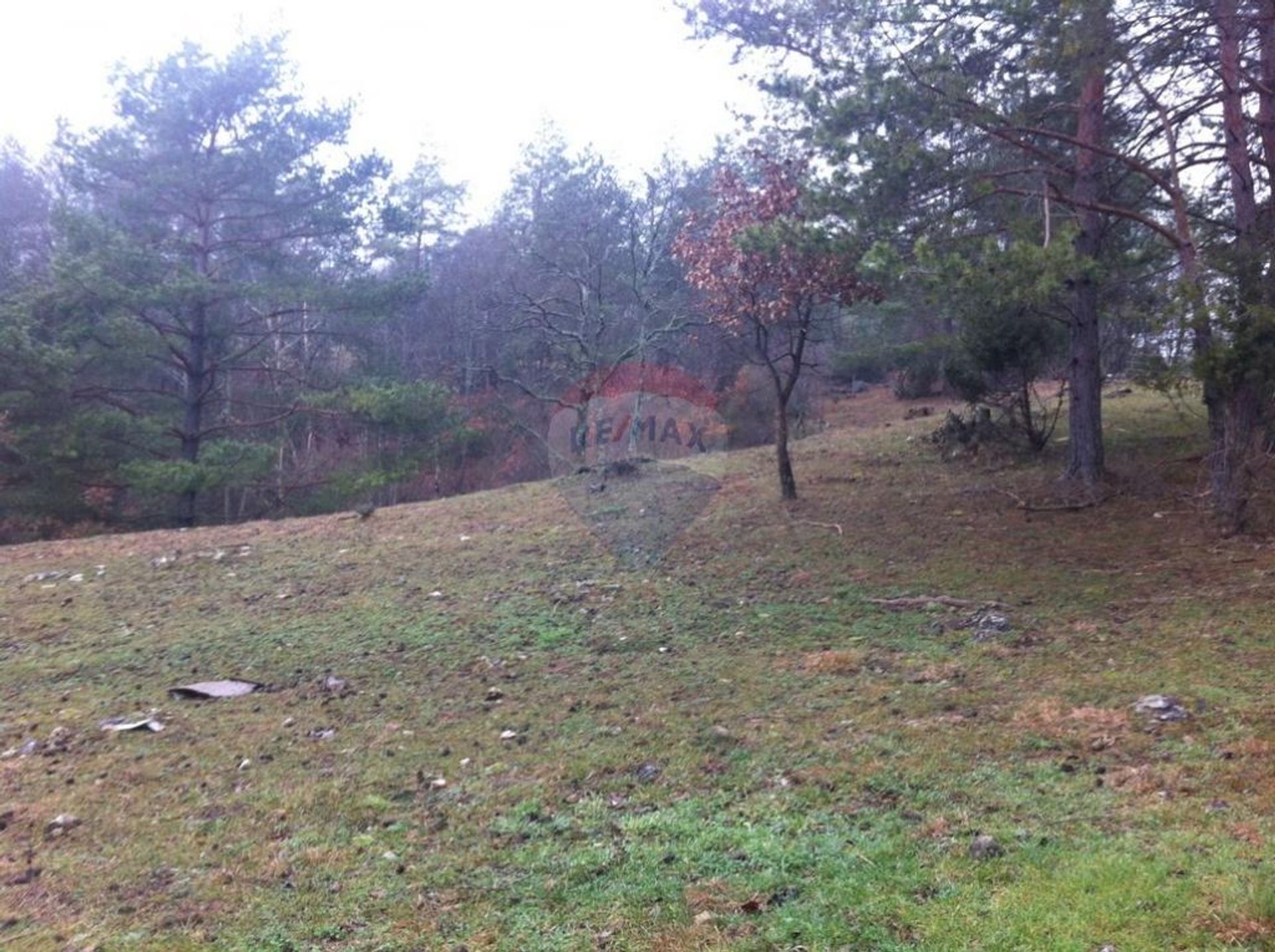 土地 在 克拉纳, 滨海边疆区-山区祖帕尼娅 12519195