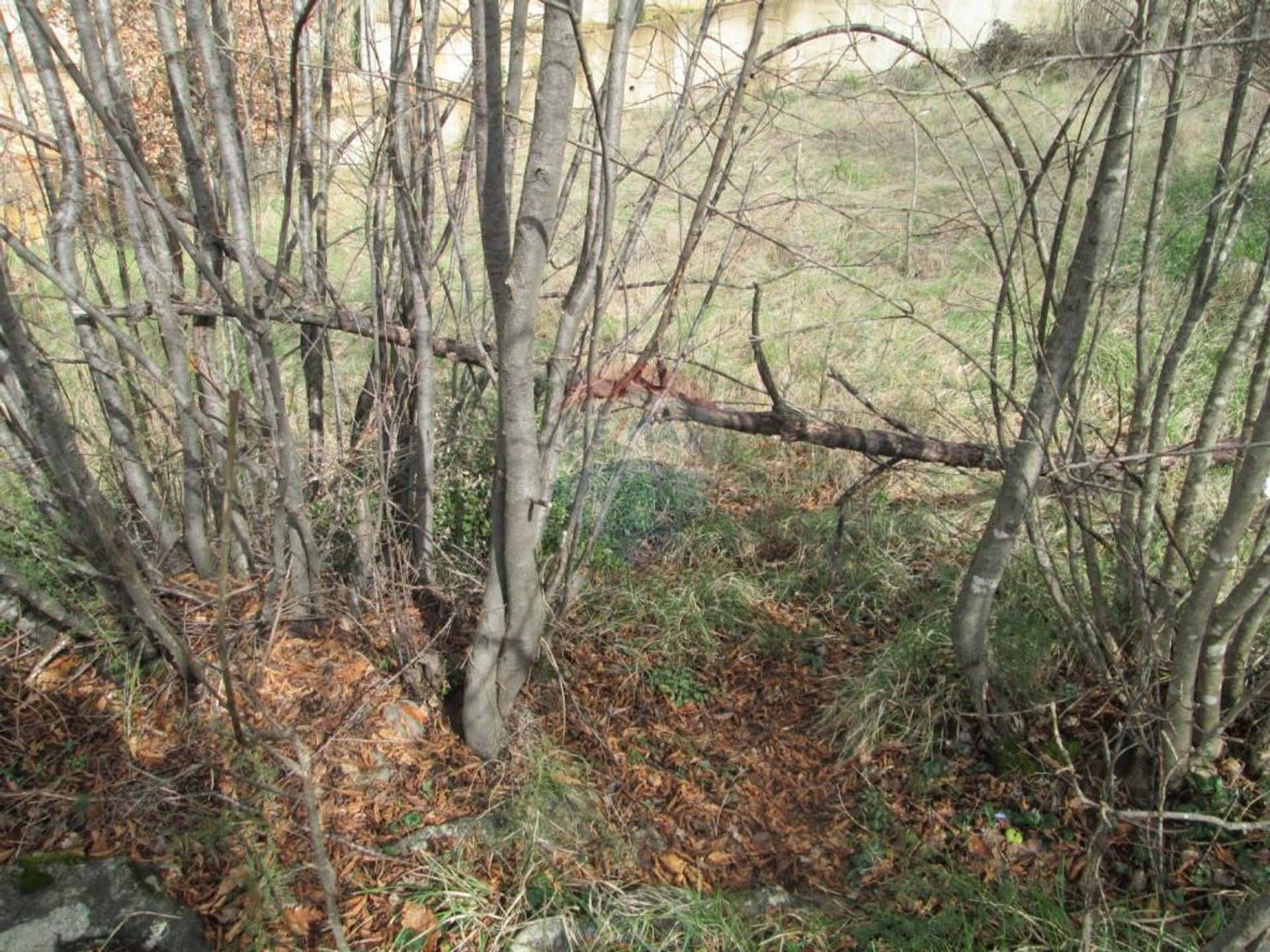 Tierra en Kastav, Primorsko-Goranska Županija 12519208