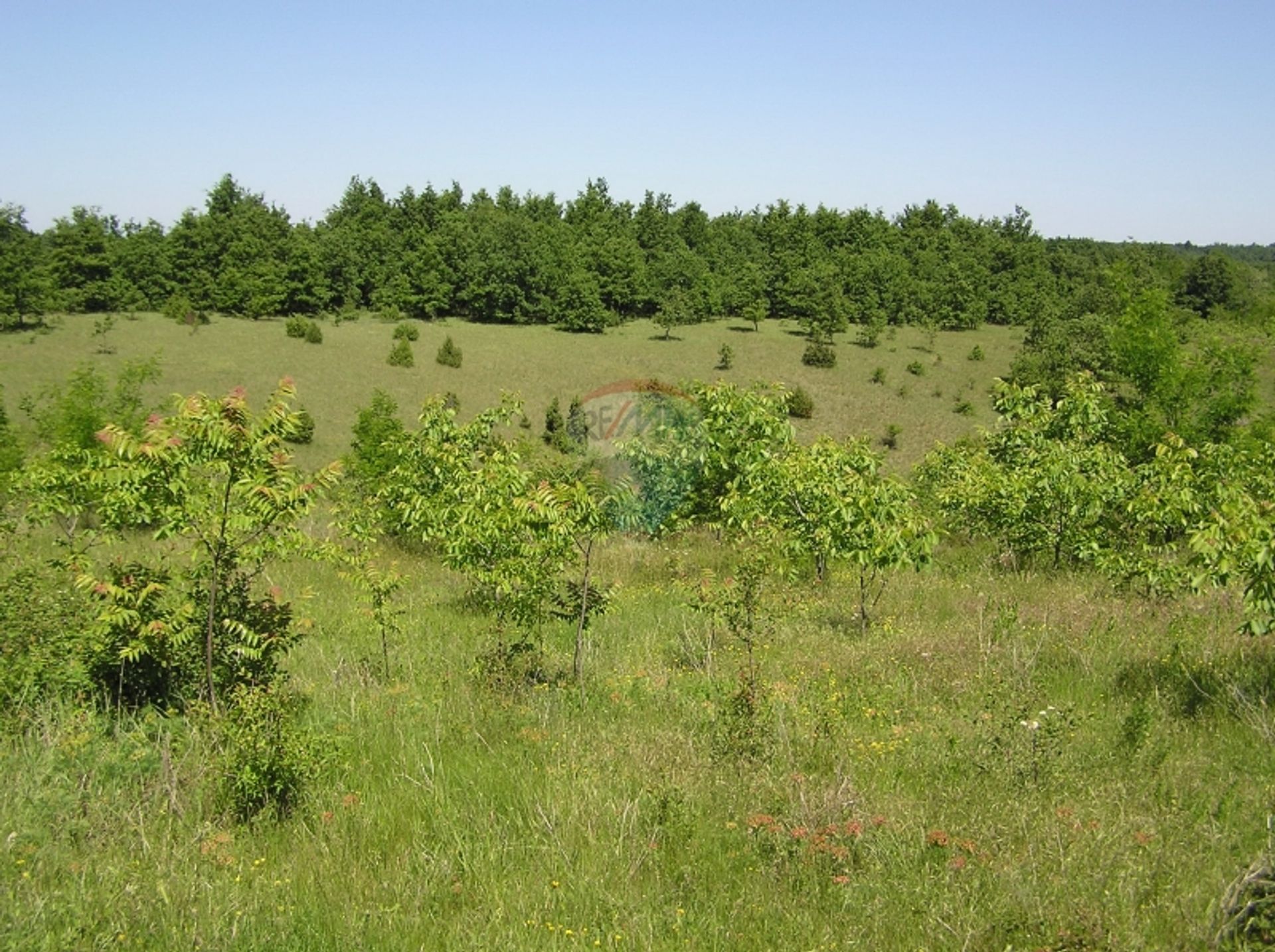 Land in Žminj, Istarska županija 12519390