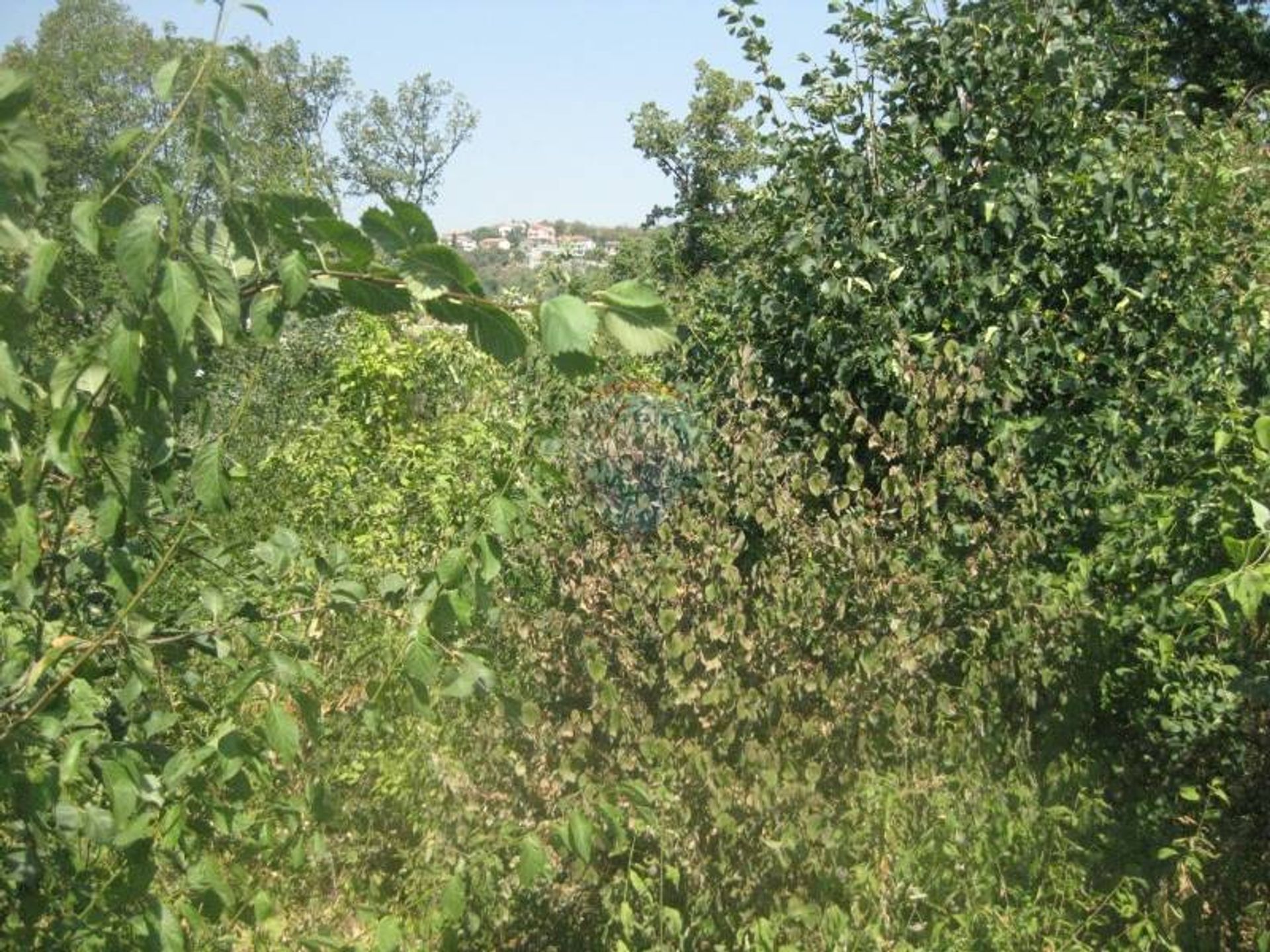 Land in Rubesi, Primorsko-Goranska Zupanija 12519469