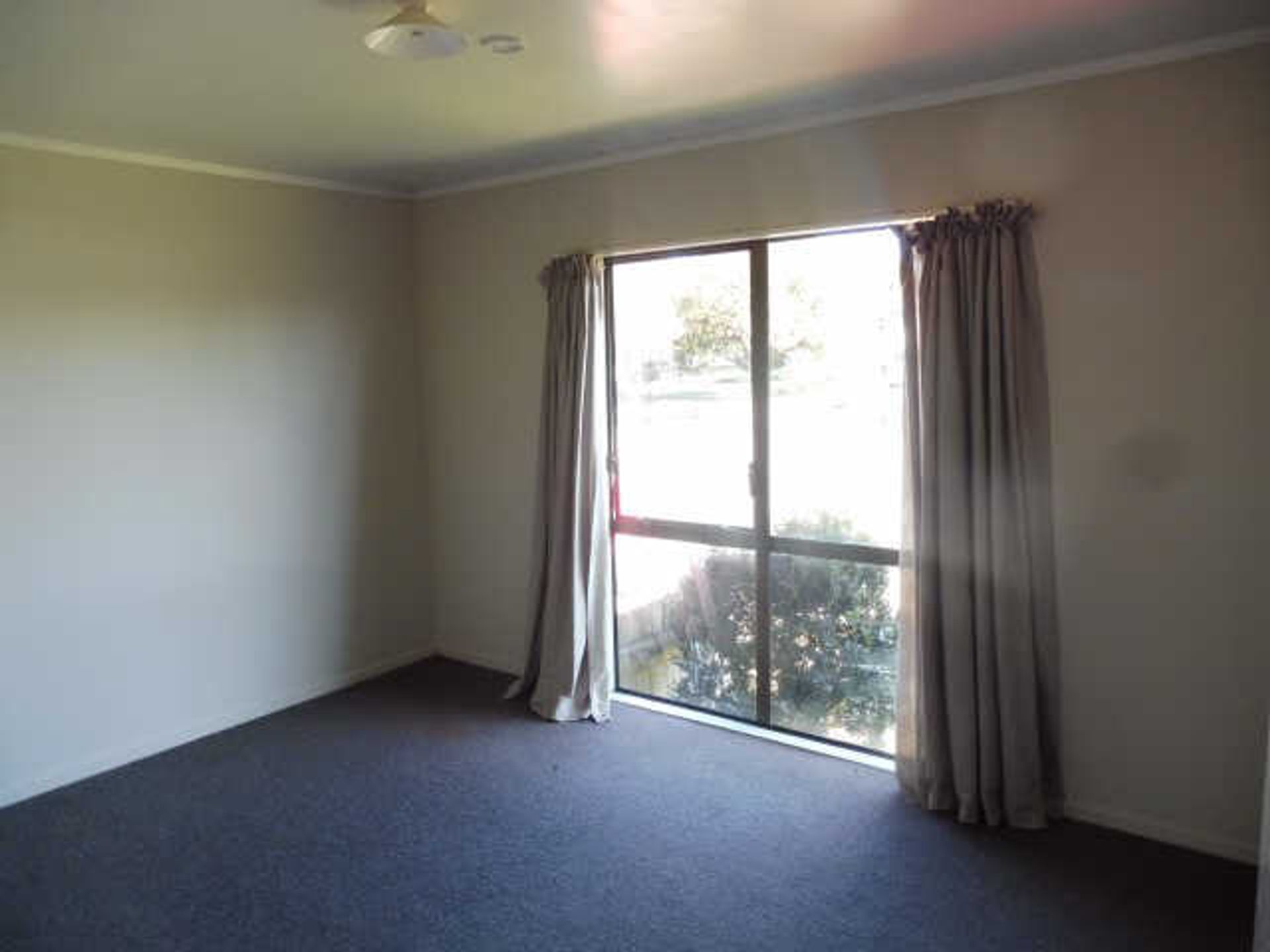 Condominio en Hamilton, Waikato 12520519