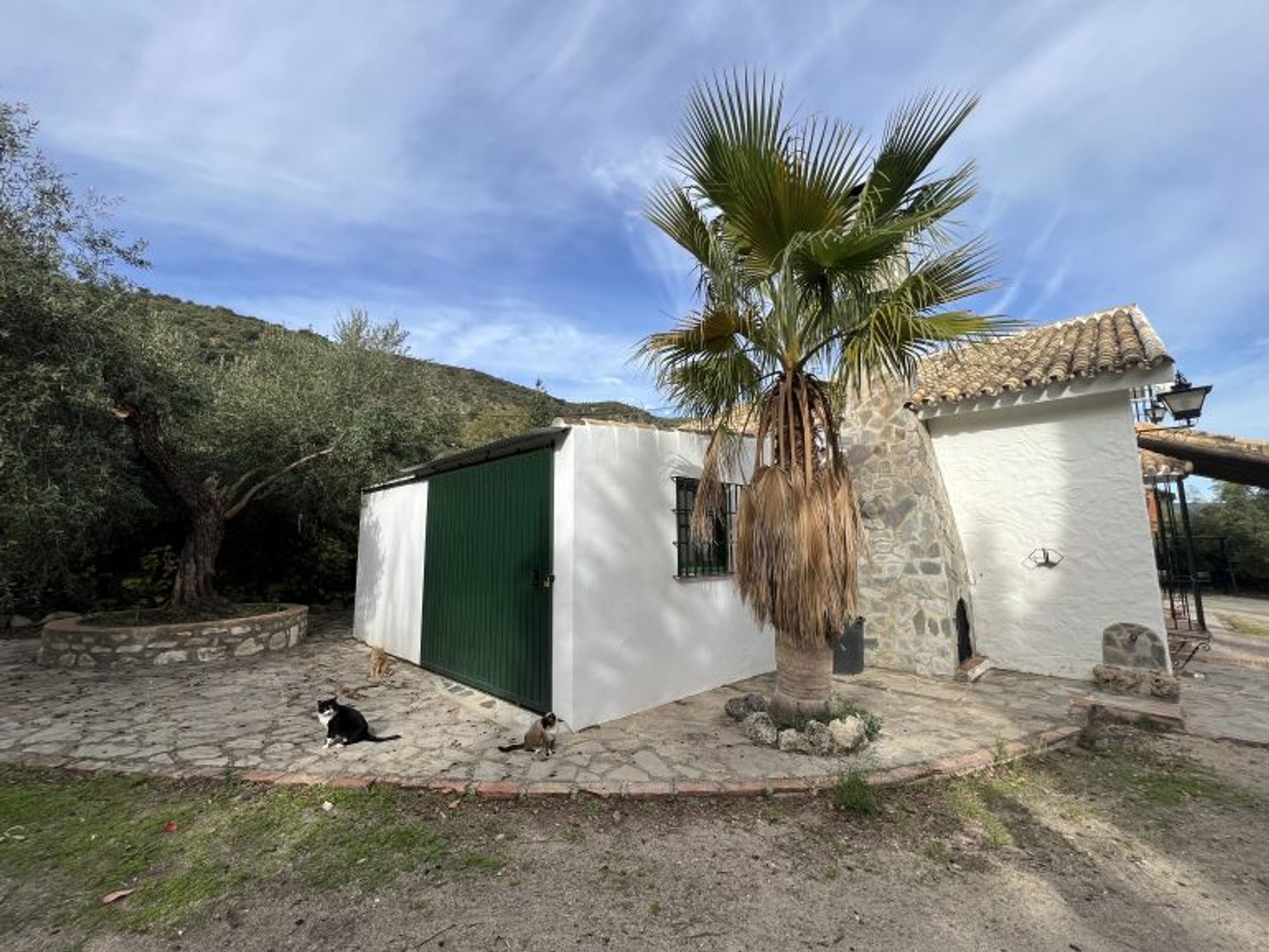 casa no Zahara de la Sierra, Andalusia 12520821