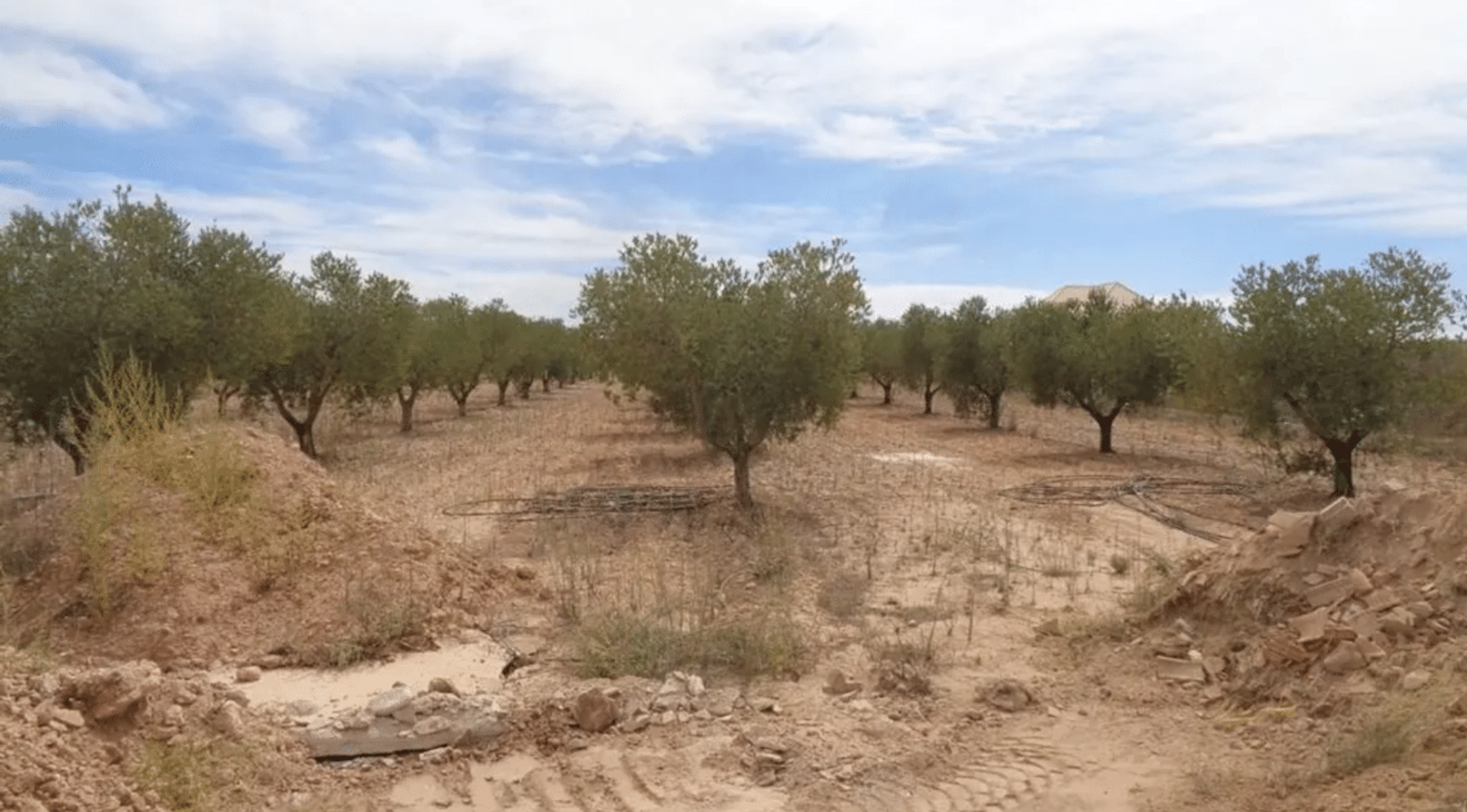 casa en Pinoso, Valencian Community 12522354