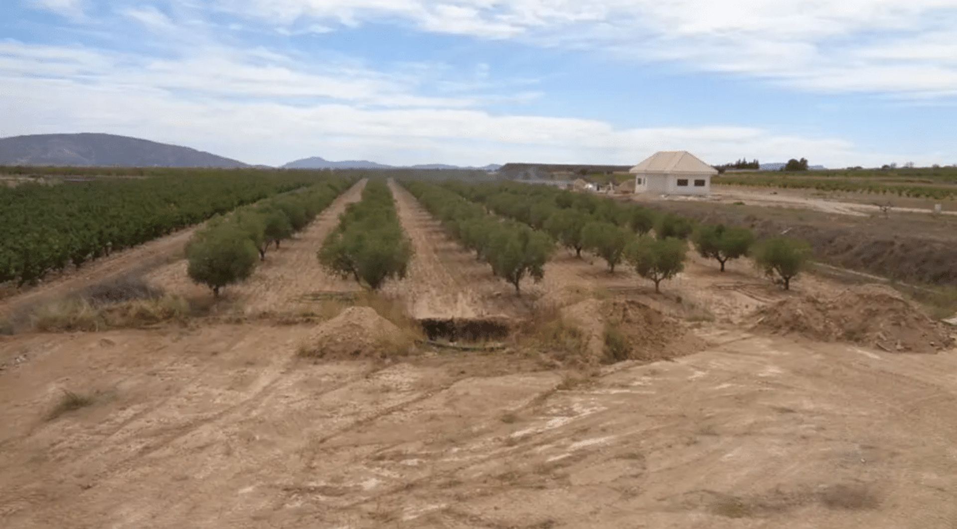 casa en Pinoso, Valencian Community 12522354