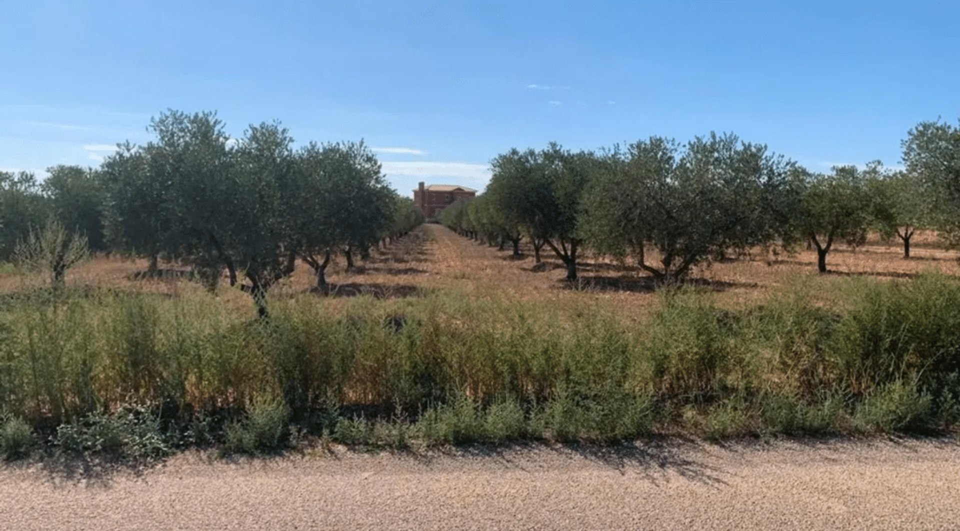 casa en Pinoso, Valencian Community 12522354