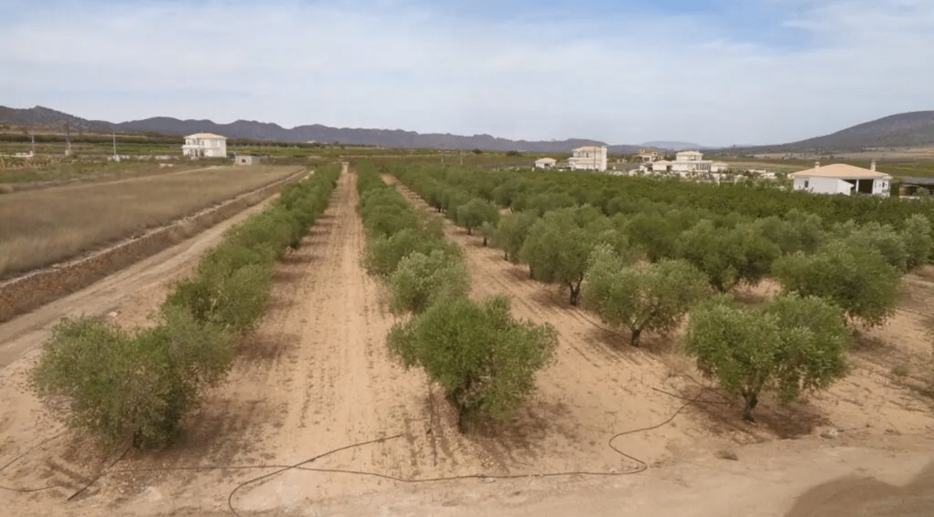 casa en Pinoso, Valencian Community 12522354