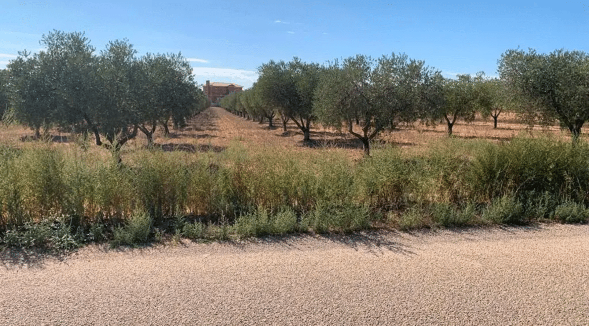 casa en Pinoso, Valencian Community 12522354