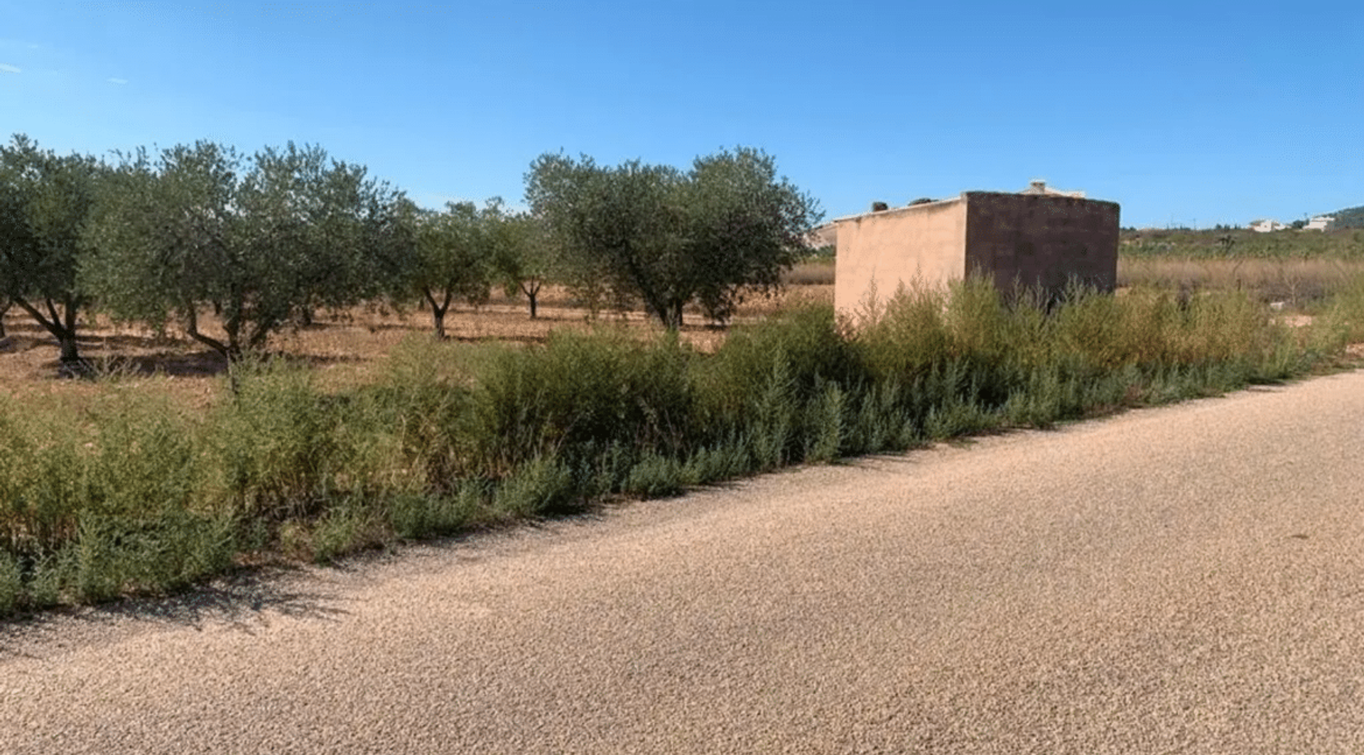 casa en Pinoso, Valencian Community 12522354