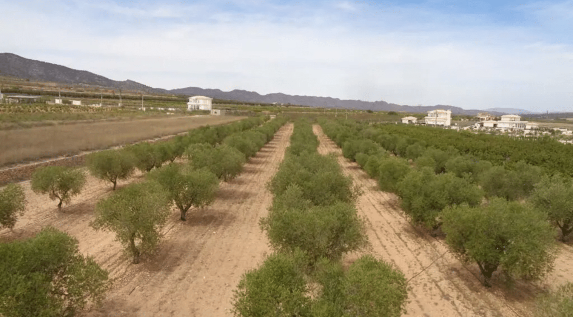 casa en Pinoso, Valencian Community 12522354