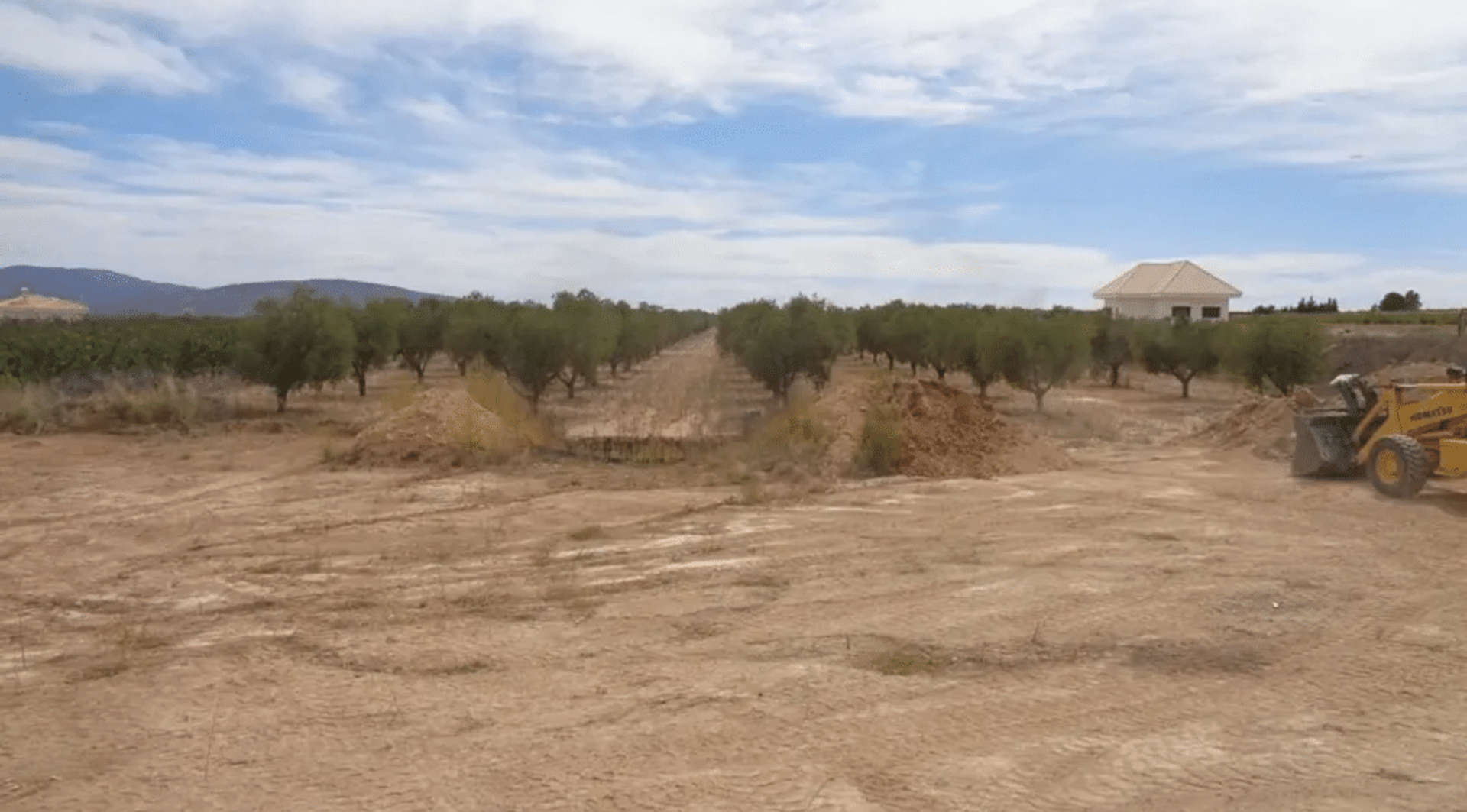 casa en Pinoso, Valencian Community 12522354