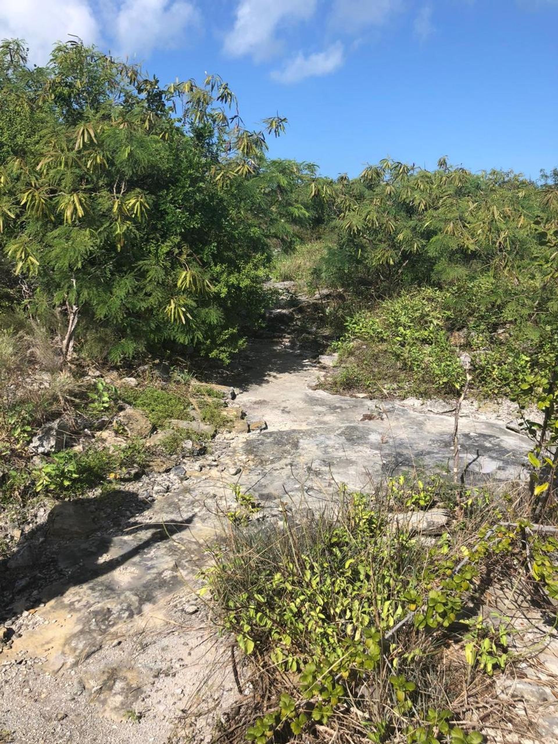 Condomínio no Lorimers, Caicos Islands 12523237