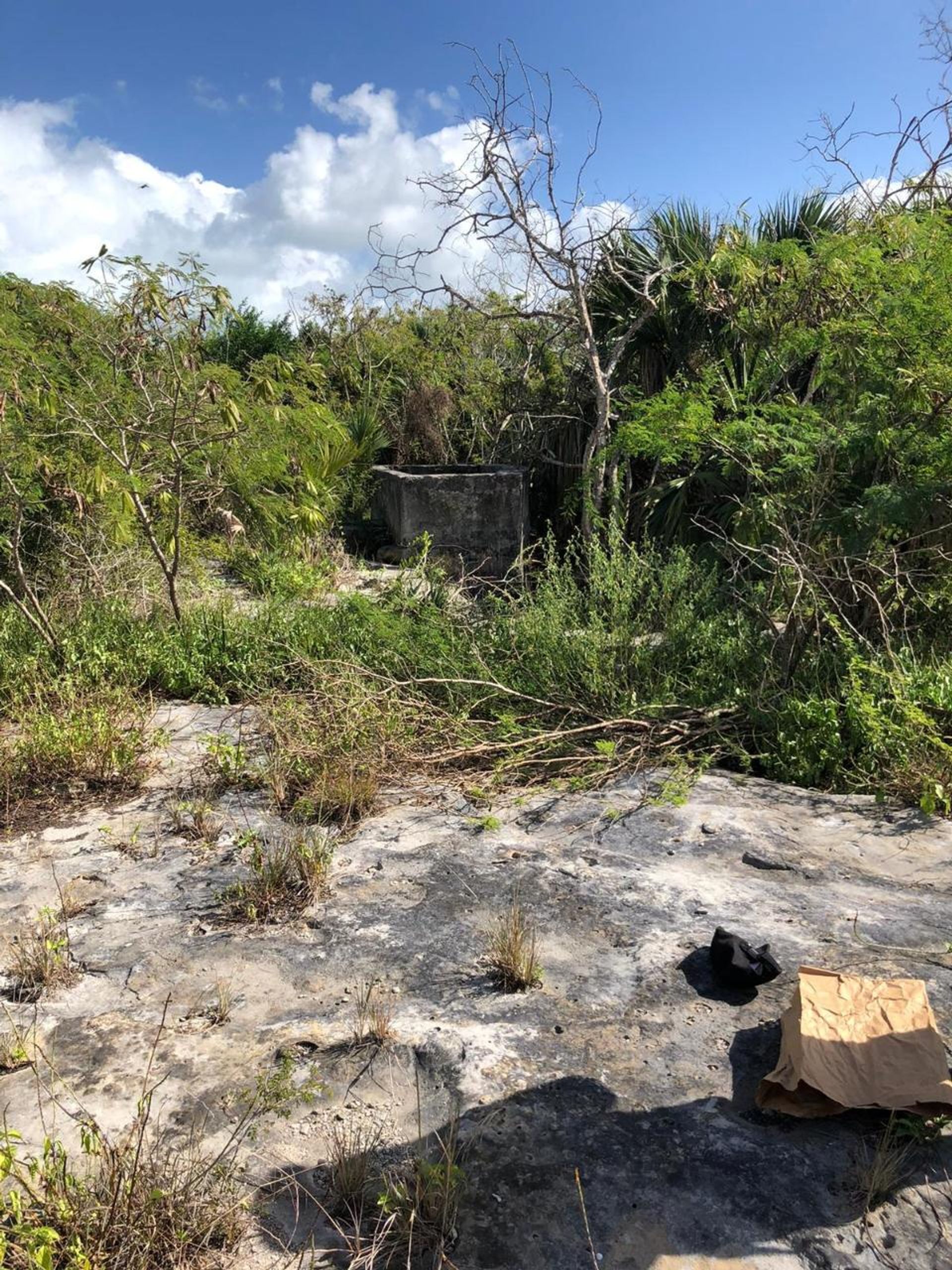 Condomínio no Lorimers, Caicos Islands 12523237