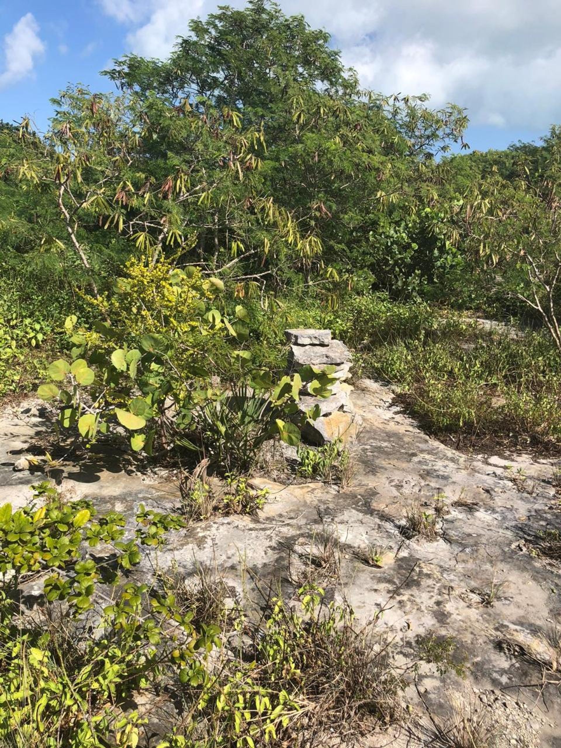 Condomínio no Lorimers, Caicos Islands 12523237