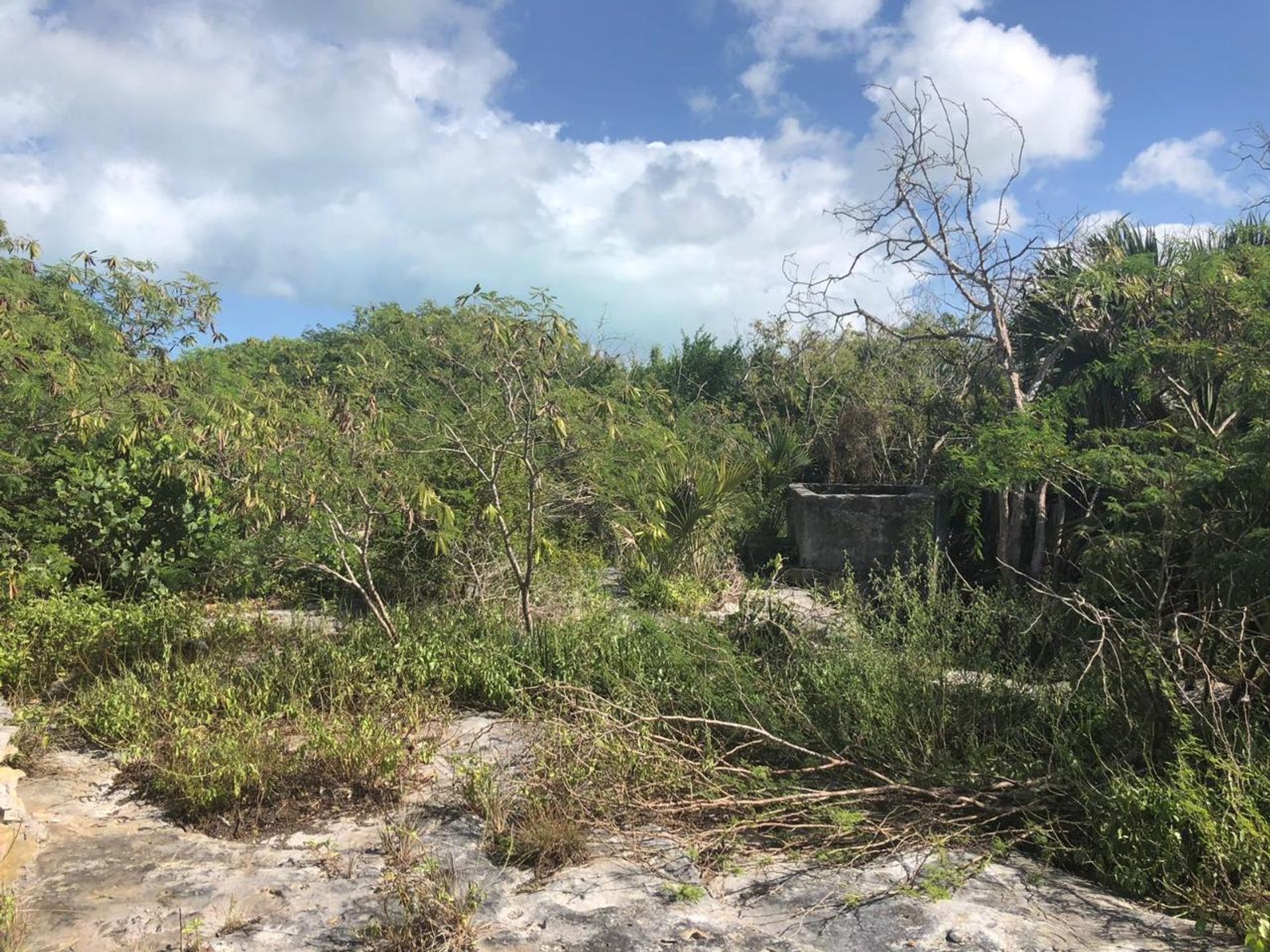 Condomínio no Lorimers, Caicos Islands 12523237