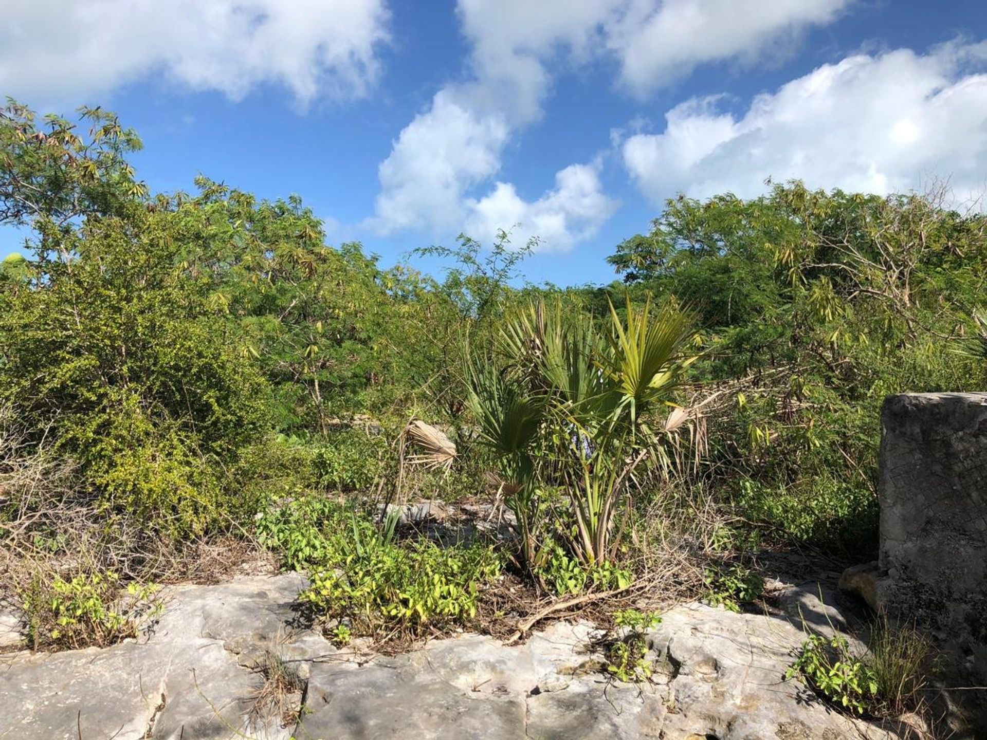 Condomínio no Lorimers, Caicos Islands 12523237