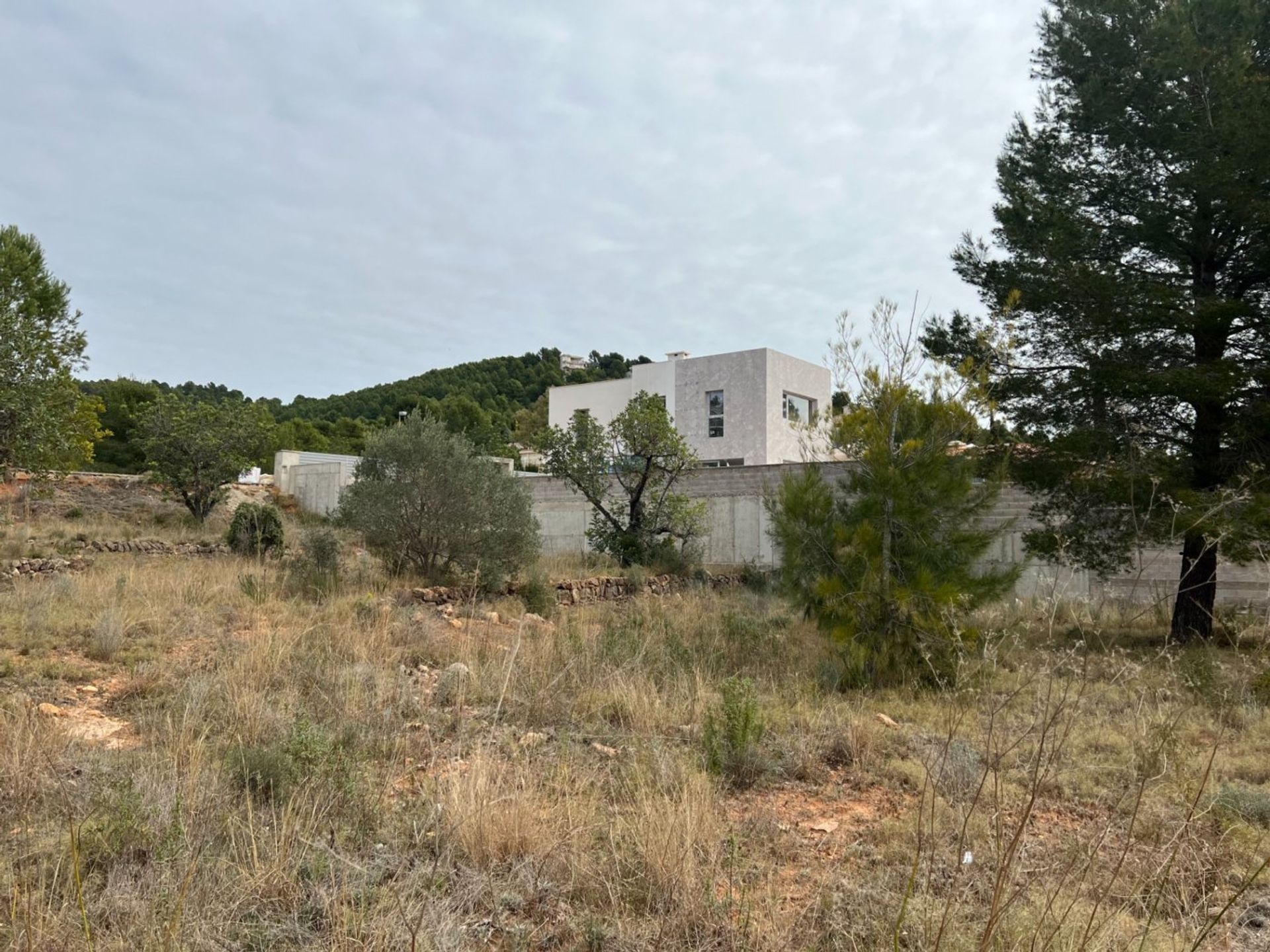 Αλλα σε Borriol, Valencian Community 12523368