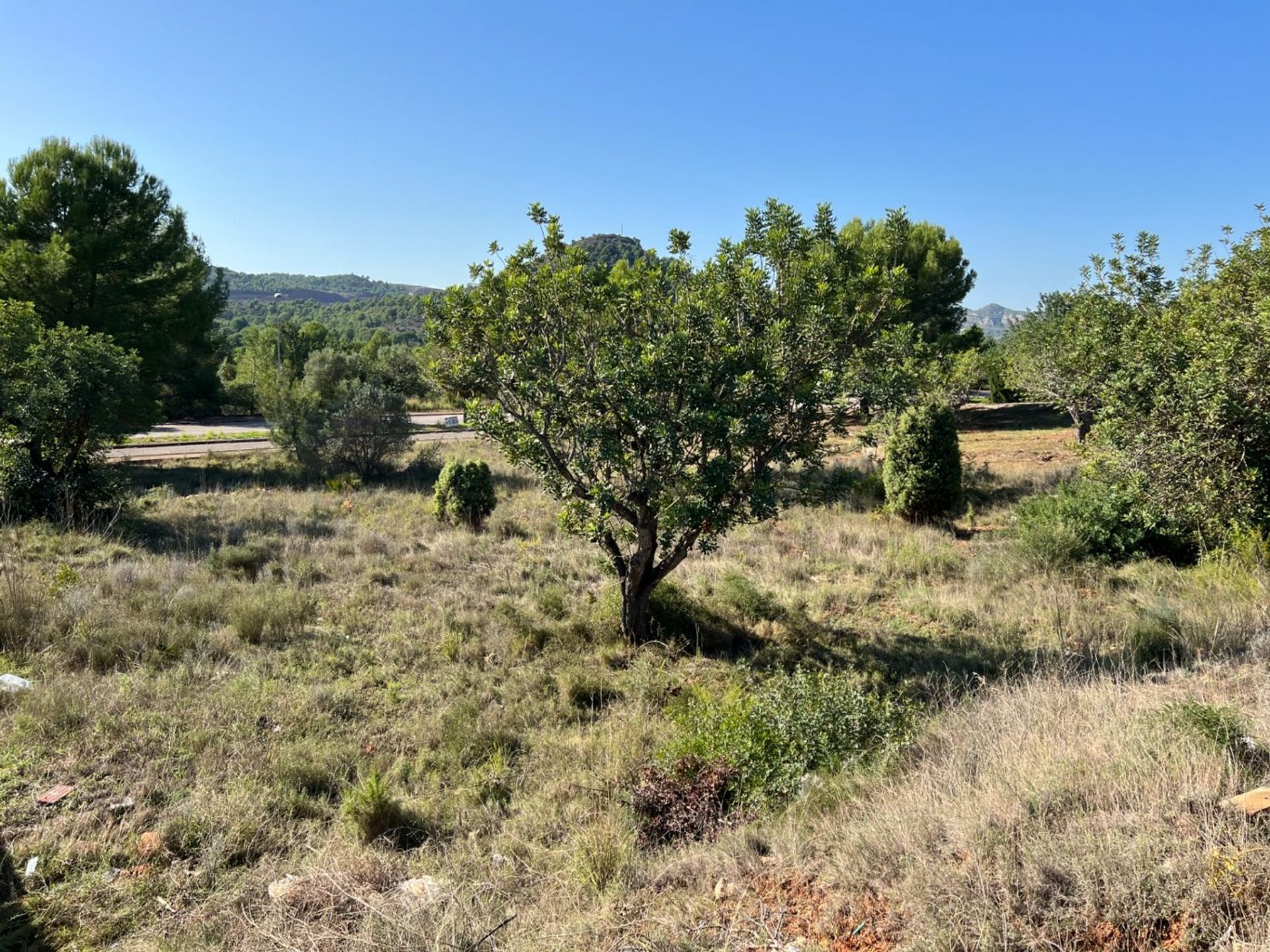 其他 在 Borriol, Valencian Community 12523368