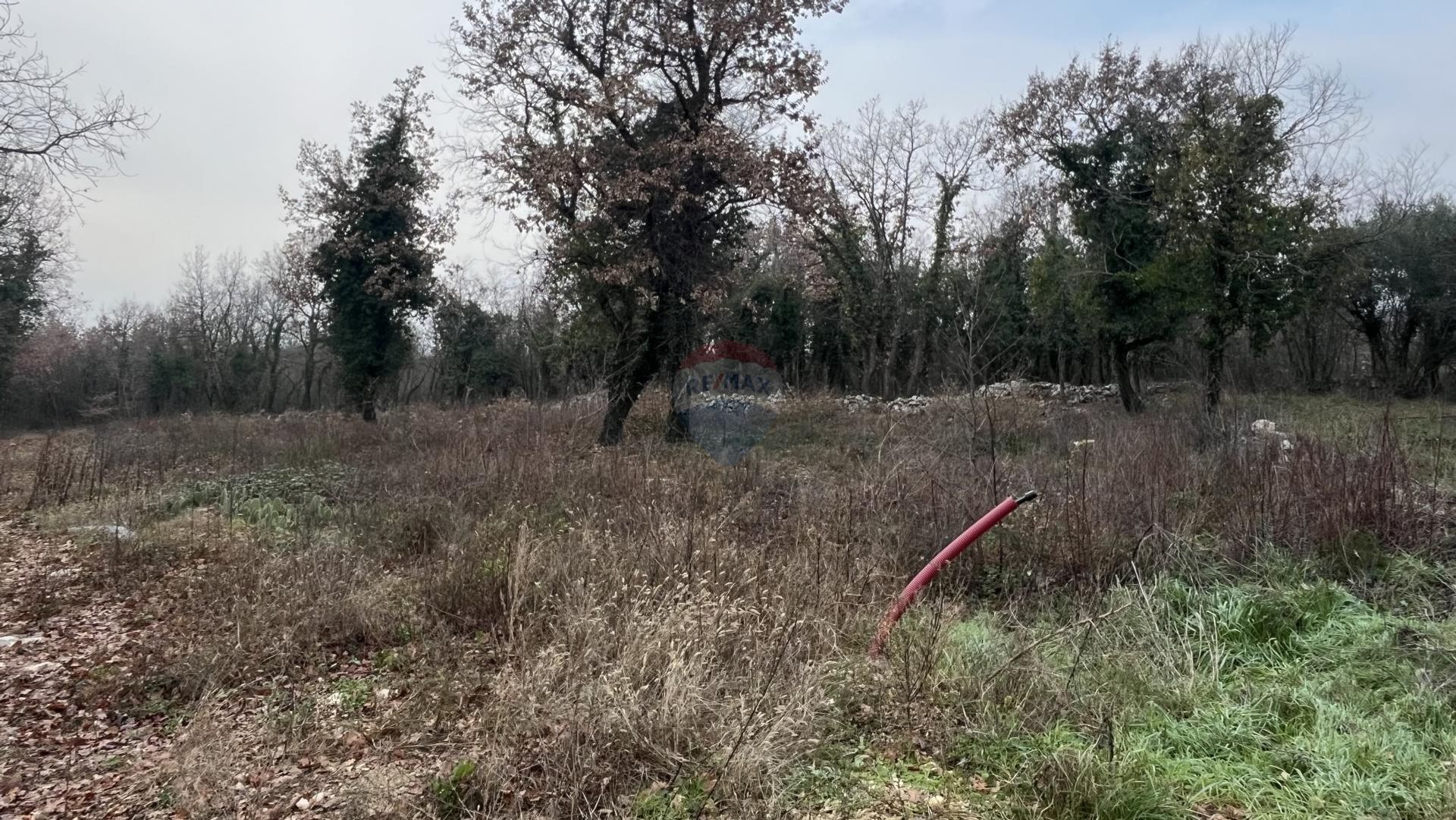 Tierra en Sveti Lovreč, Istarska županija 12524606