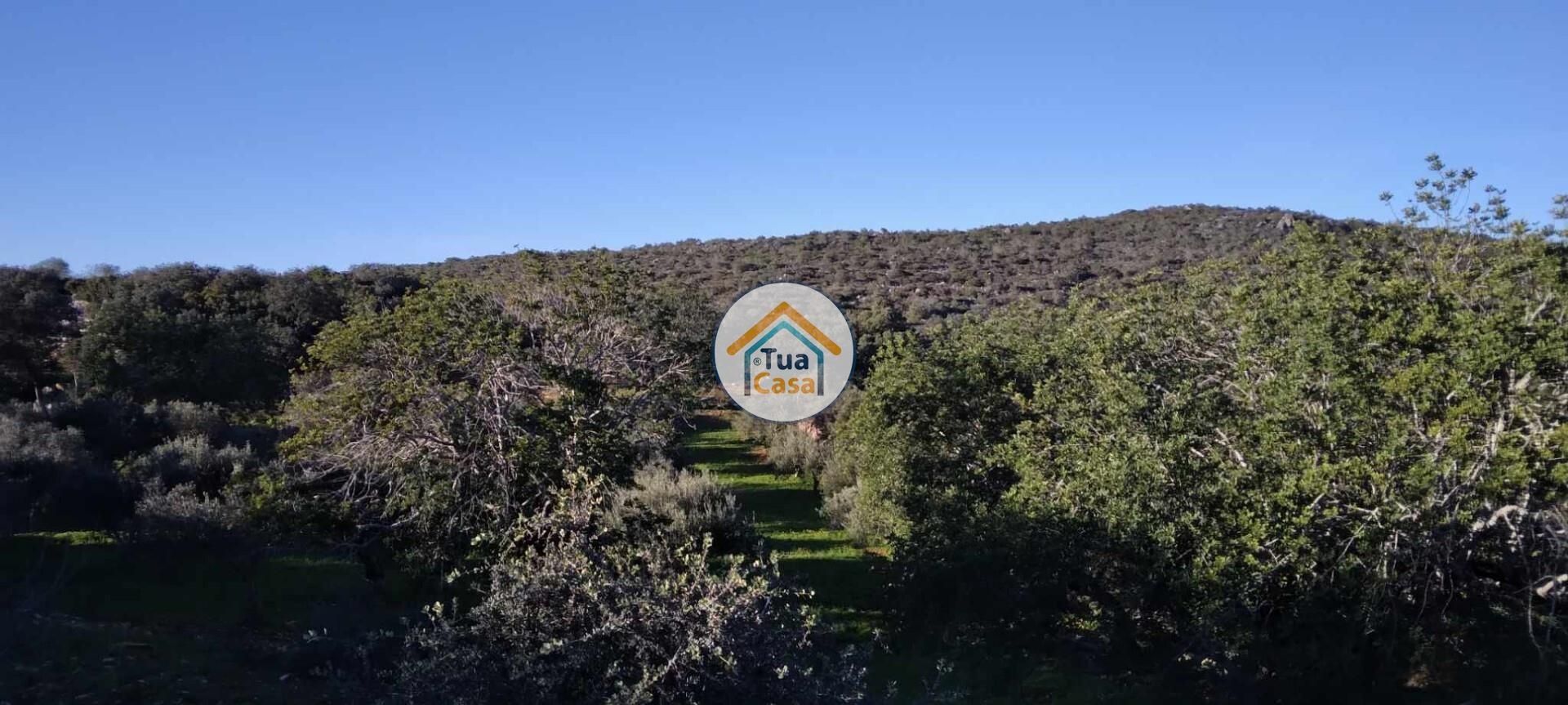 Tierra en Sao Brás de Alportel, Faraón 12525001