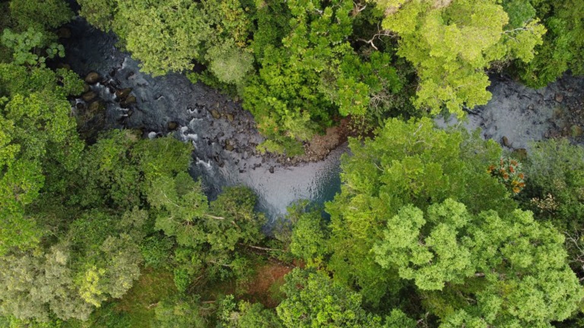 Osakehuoneisto sisään Cañas, Guanacaste 12525503