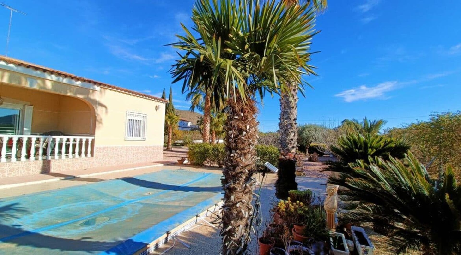 House in Hondón de los Frailes, Valencian Community 12525621